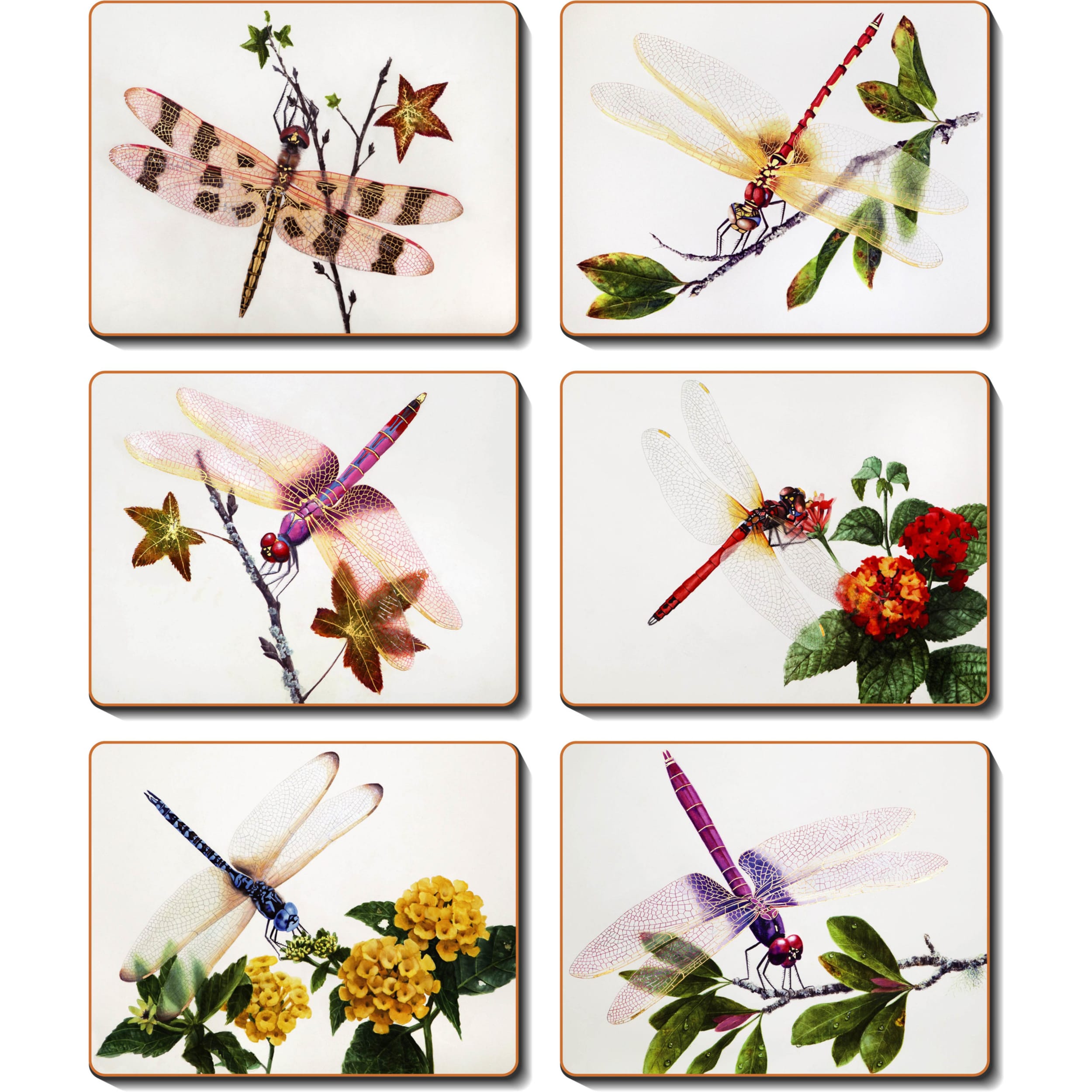 Cinnamon Delicate Wings Placemat 6 Piece Set