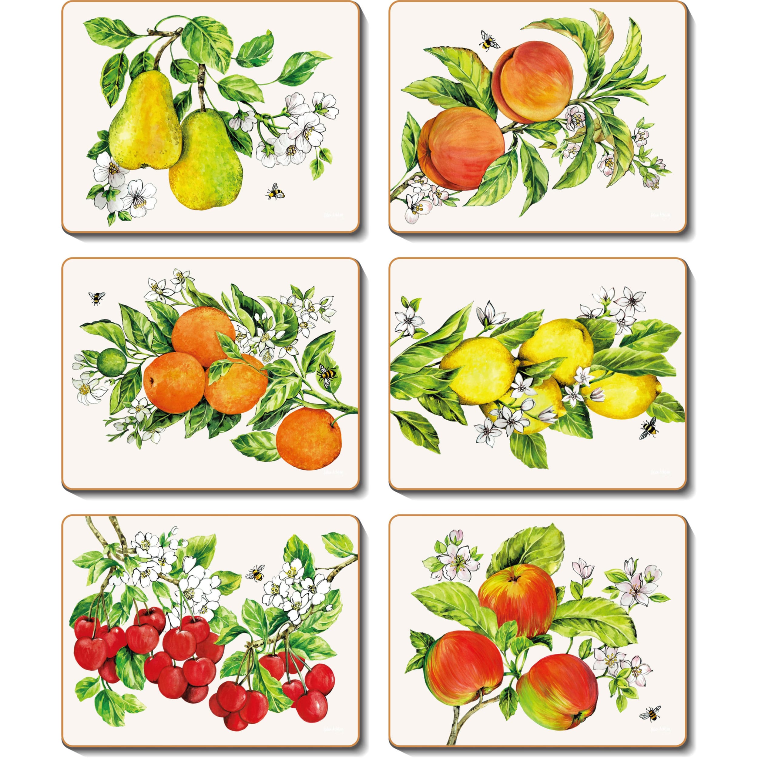 Cinnamon Botanical Fruit Coaster 6 Piece Set