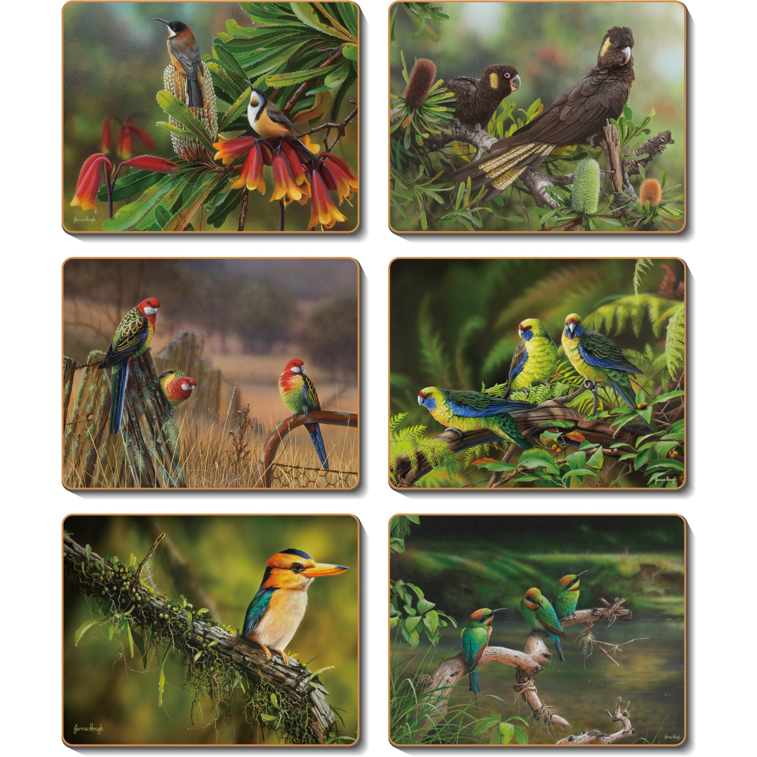 Cinnamon Native Heritage Placemat 6 Piece Set