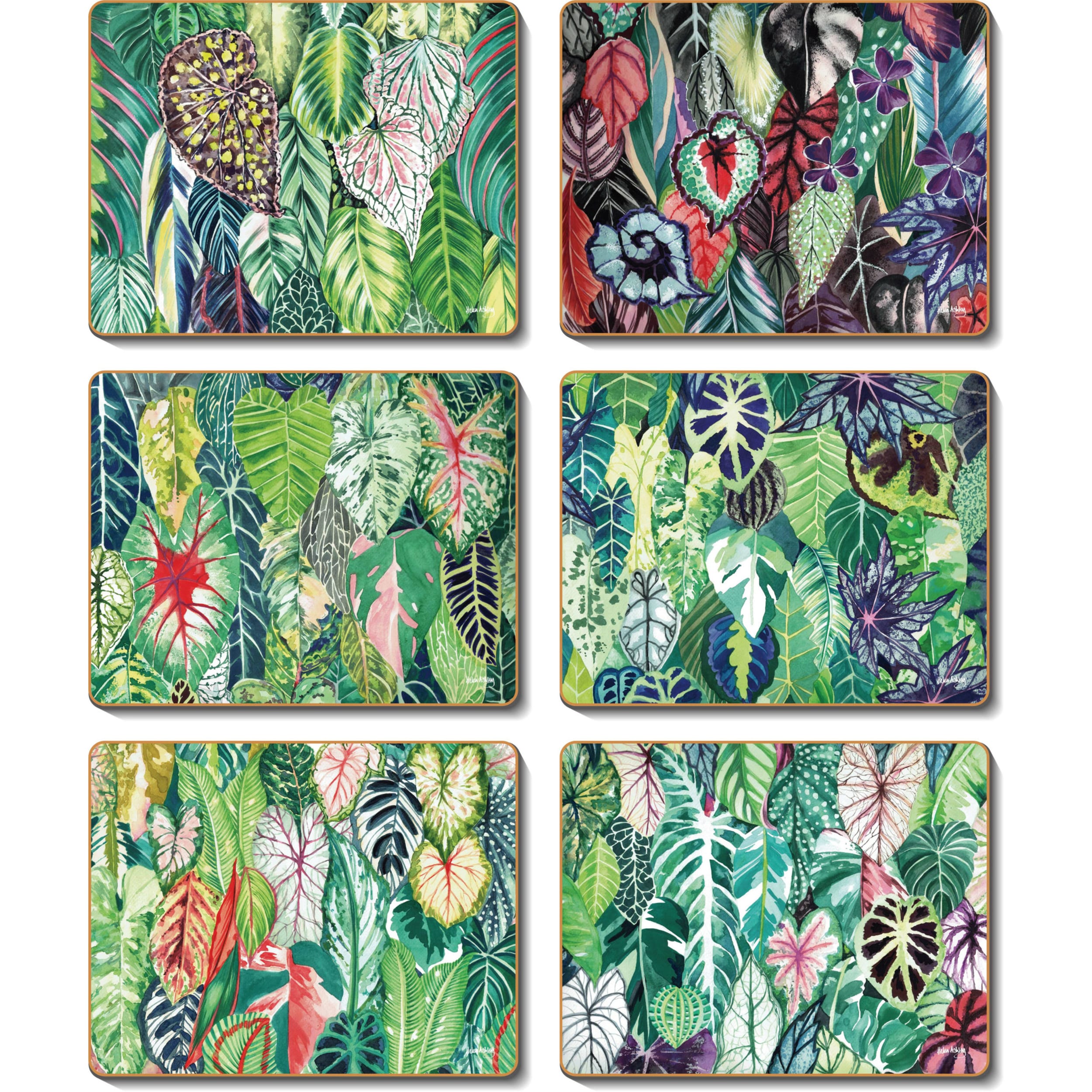 Cinnamon The Happy Houseplant Coaster 6 Piece Set