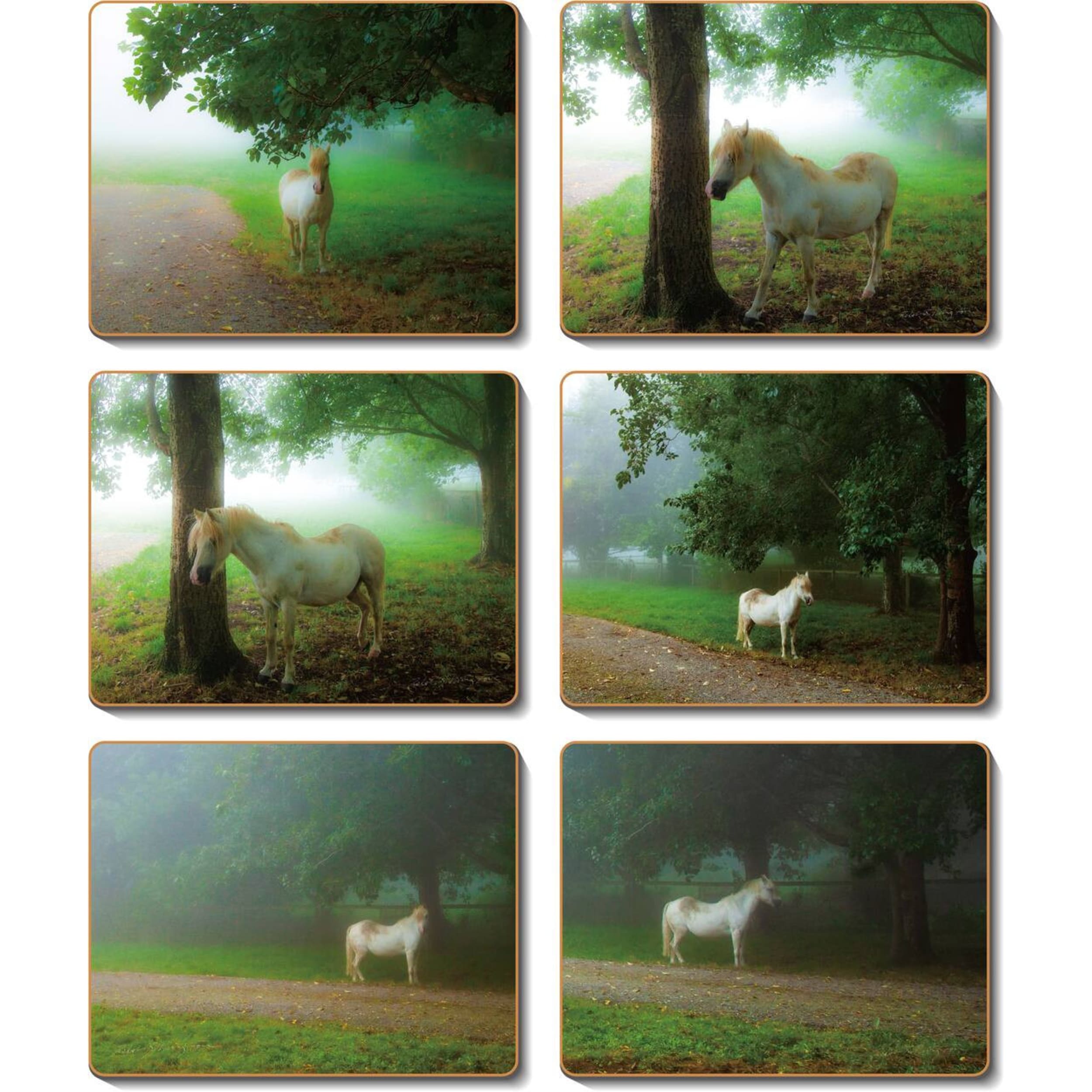 Cinnamon Pony Placemat 6 Piece Set