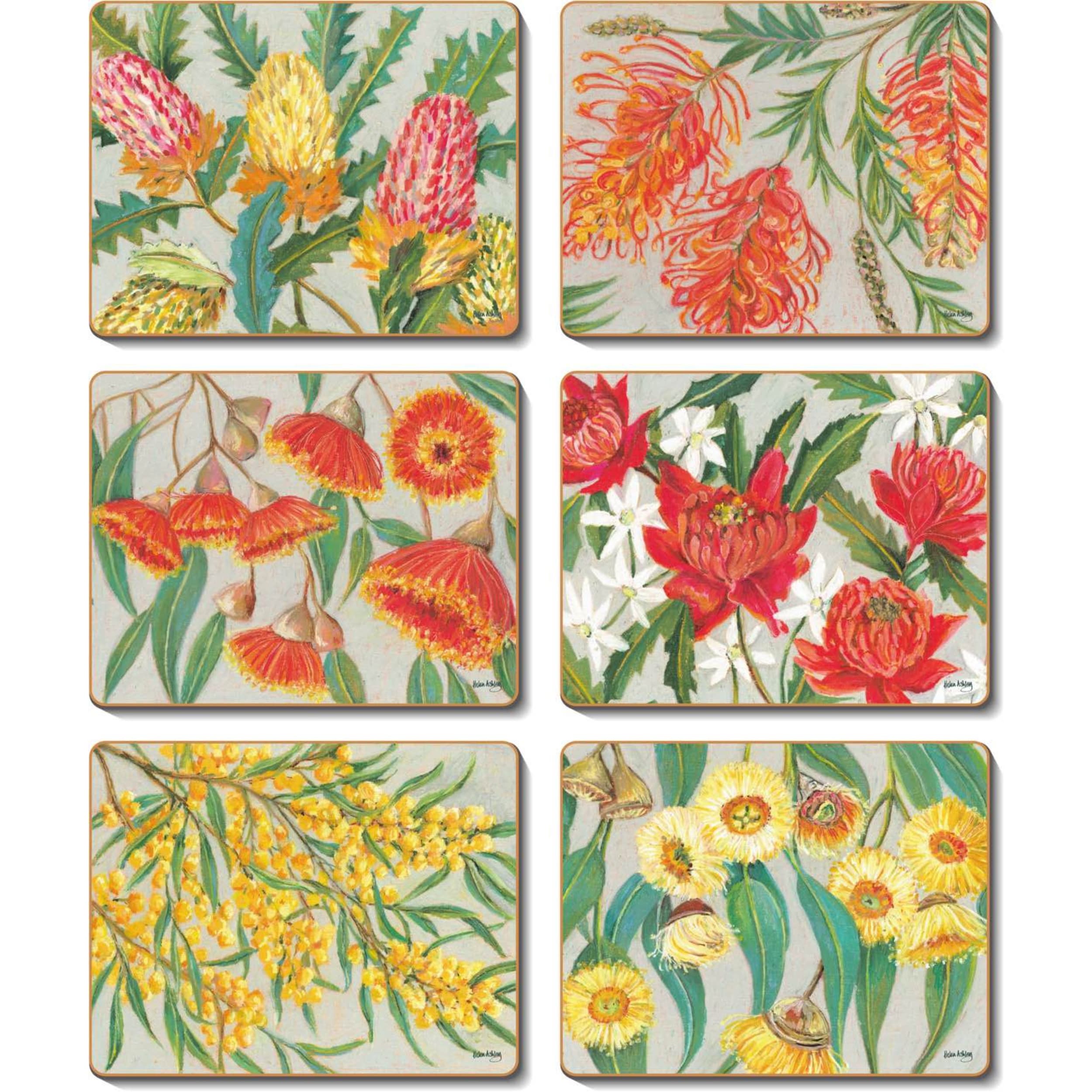 Cinnamon Native Pastel Coaster 6 Piece Set