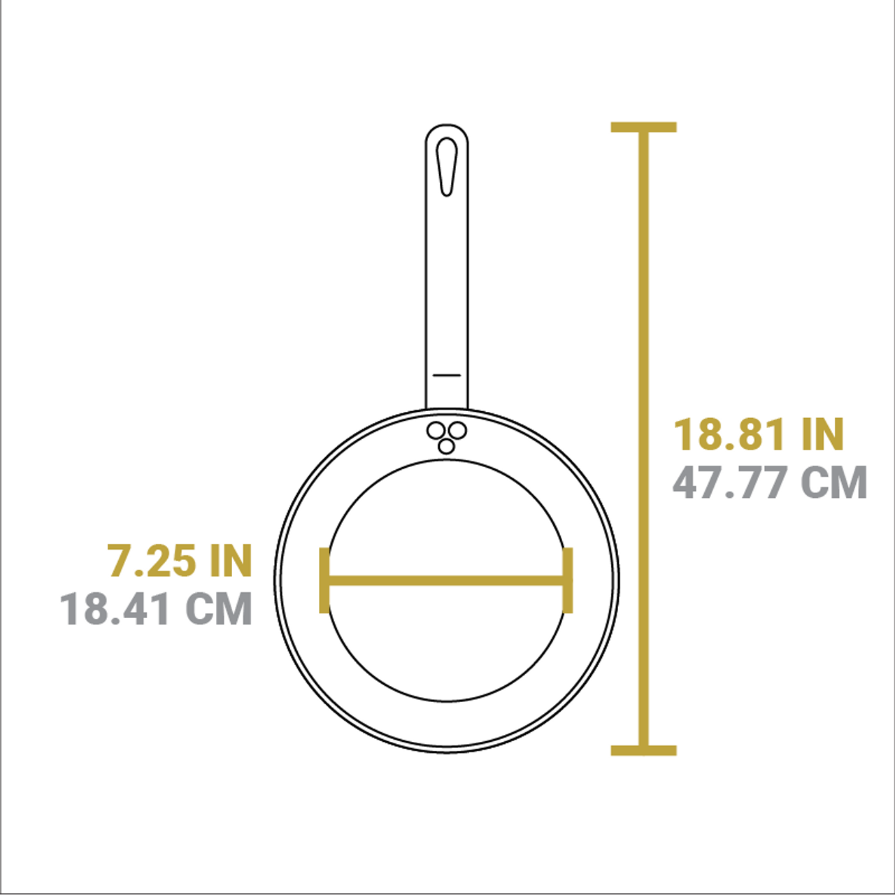 Lodge 10 Inch Seasoned Carbon Steel Skillet