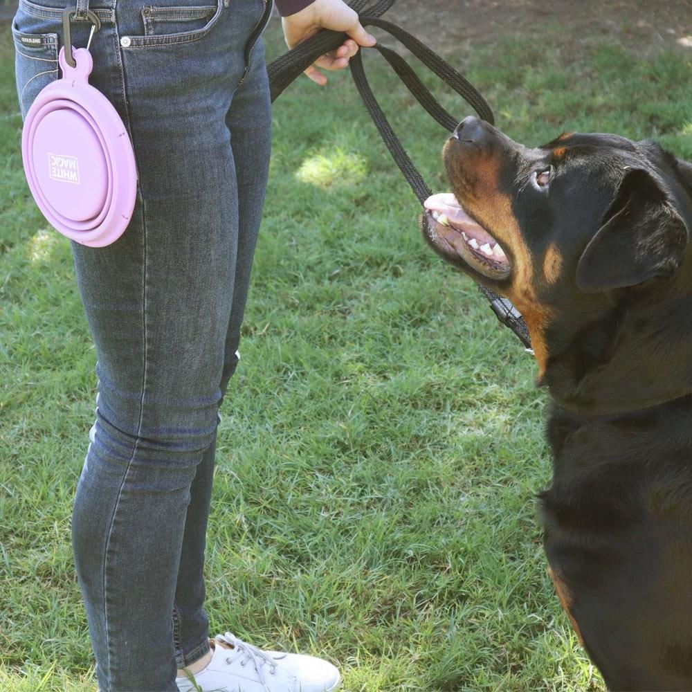 Collapsible Travel Bowl