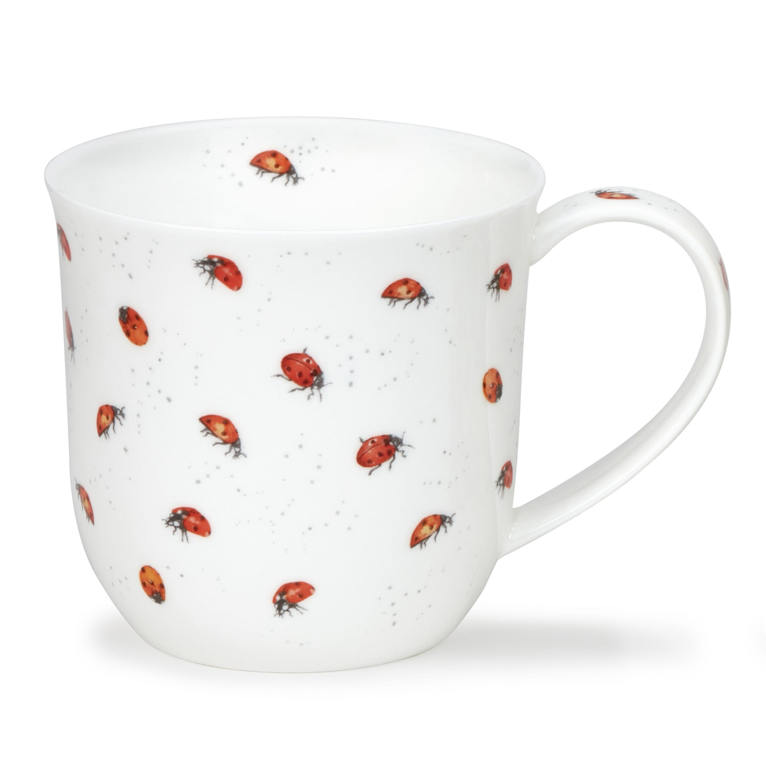 Dunoon Cumbrae Ladybirds Mug 450ml