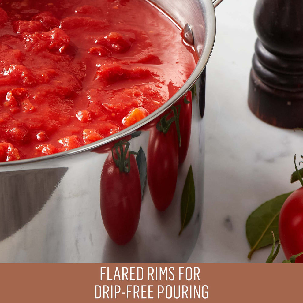 Essteele Eternita Clad Stainless Steel Induction Covered Stockpot 26cm/7.6L