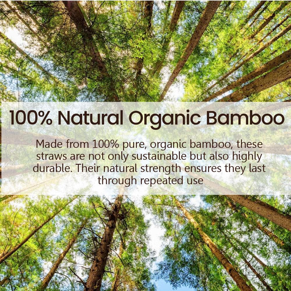 Reusable Bamboo Straw - Single