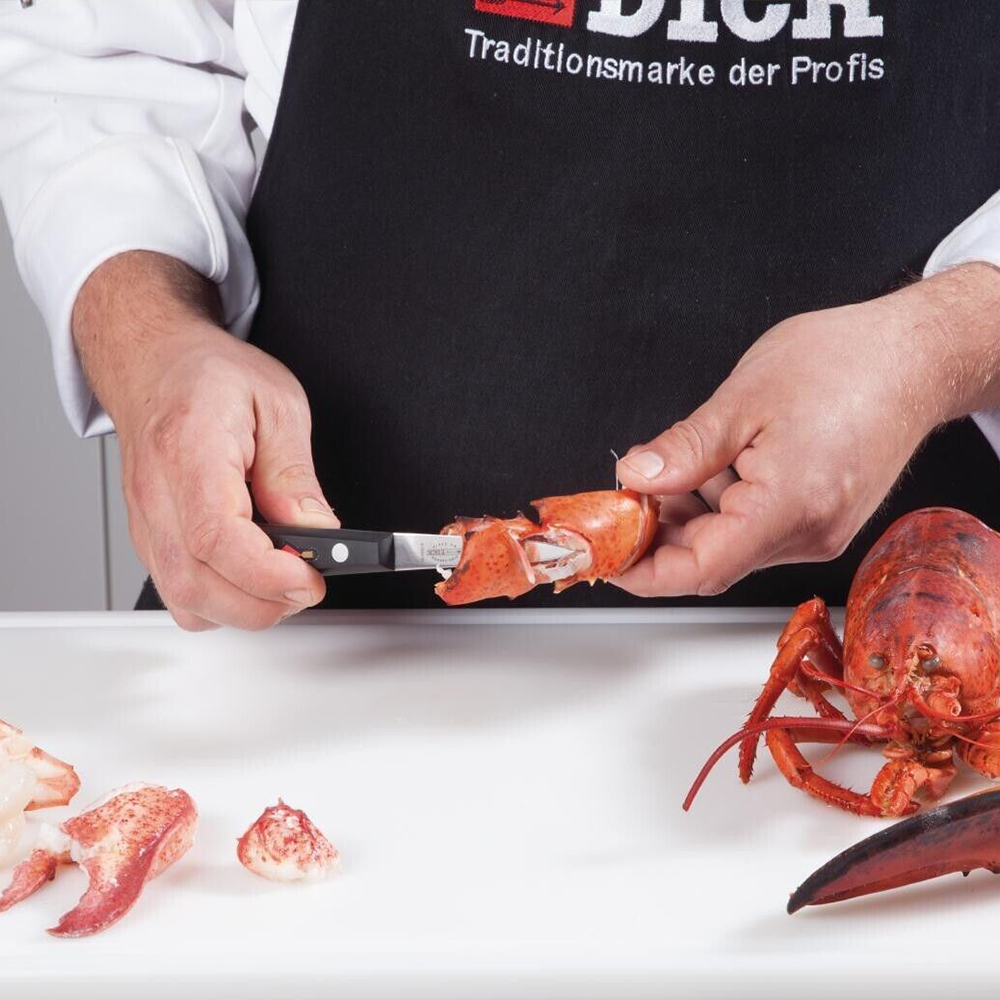 F.Dick Premier Plus Paring Knife, 9cm, C&C/P