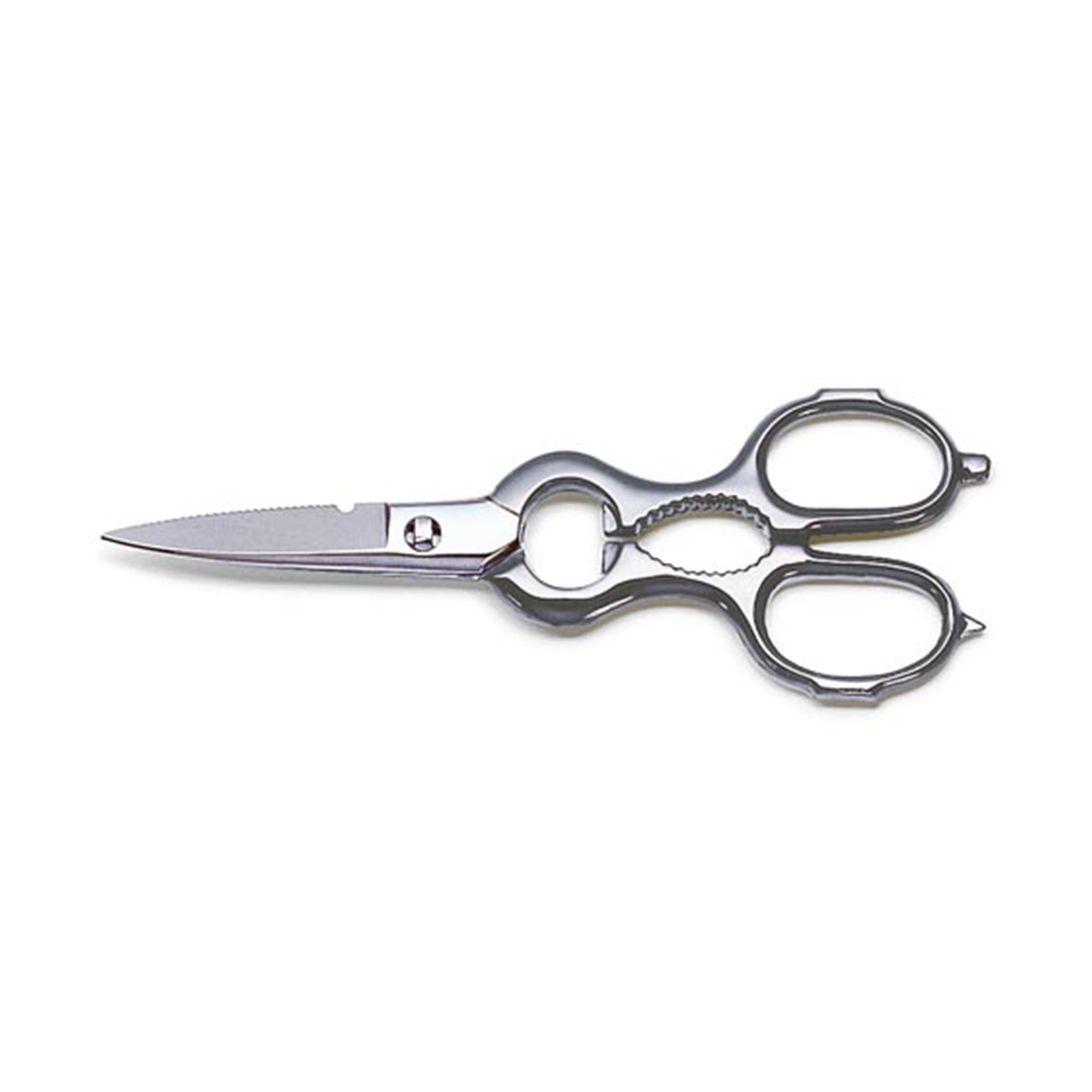 F.Dick Tools for Chefs Kitchen Shears, Forged, 21cm, B/P