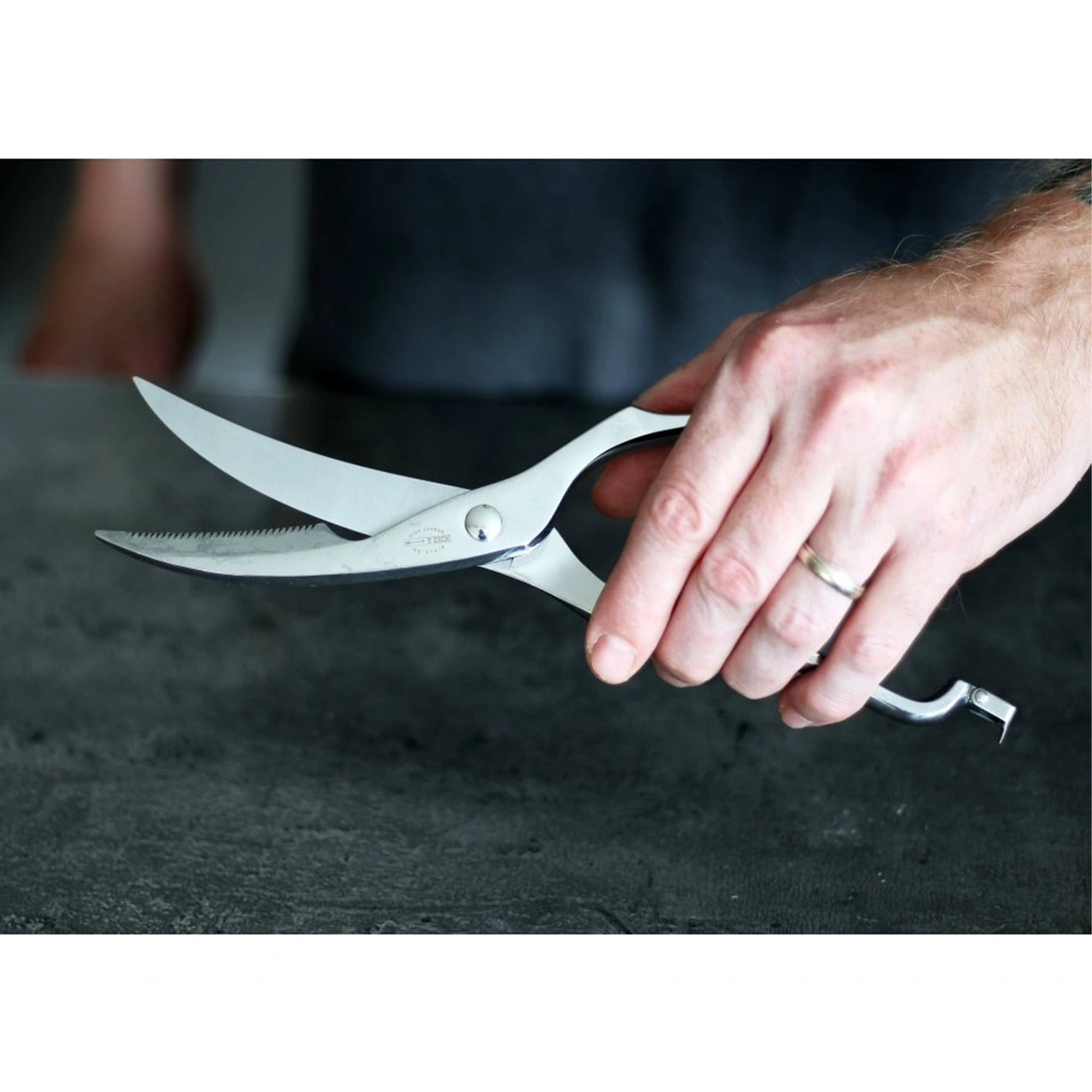 F.Dick Tools for Chefs Poultry Shears, Stainless 25cm, C&C/P