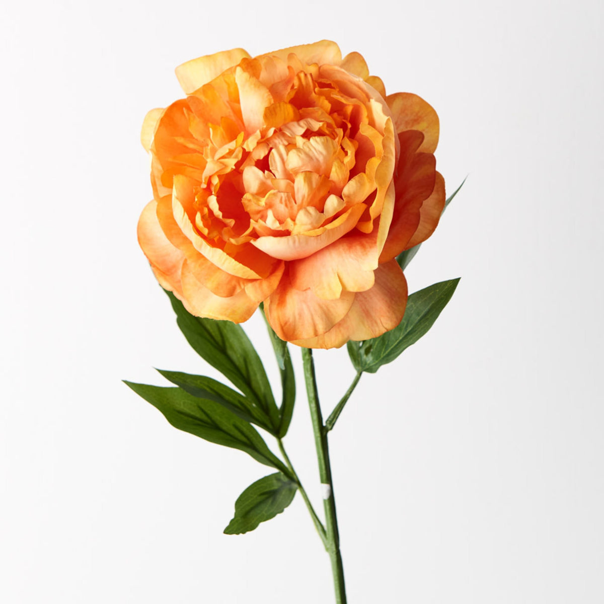 Floral Interiors Artificial Peony Stem 63cm Orange
