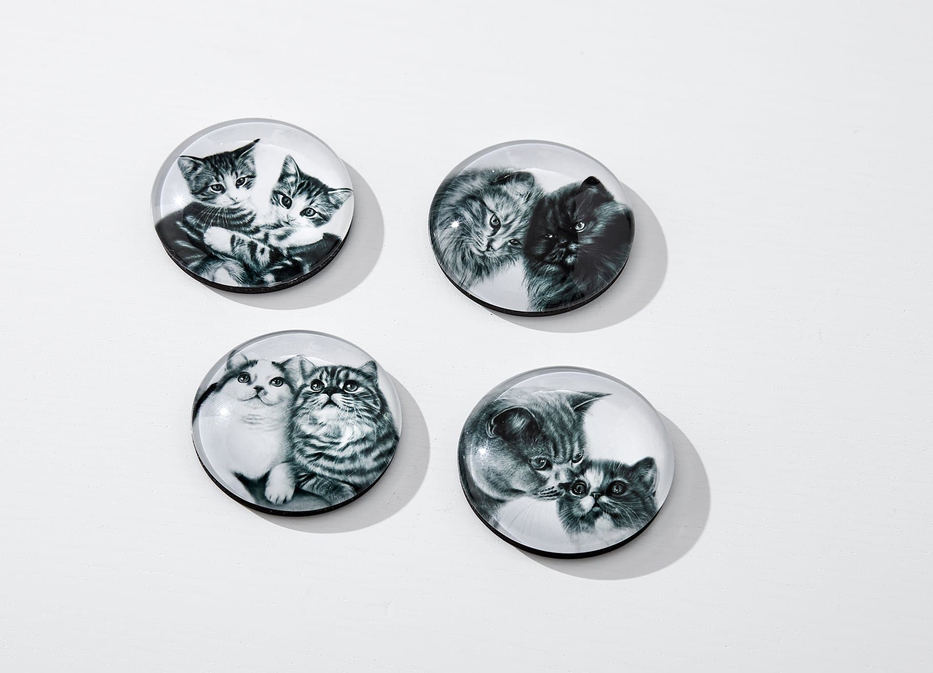 Ashdene Feline Friends Assorted 4pk Magnet
