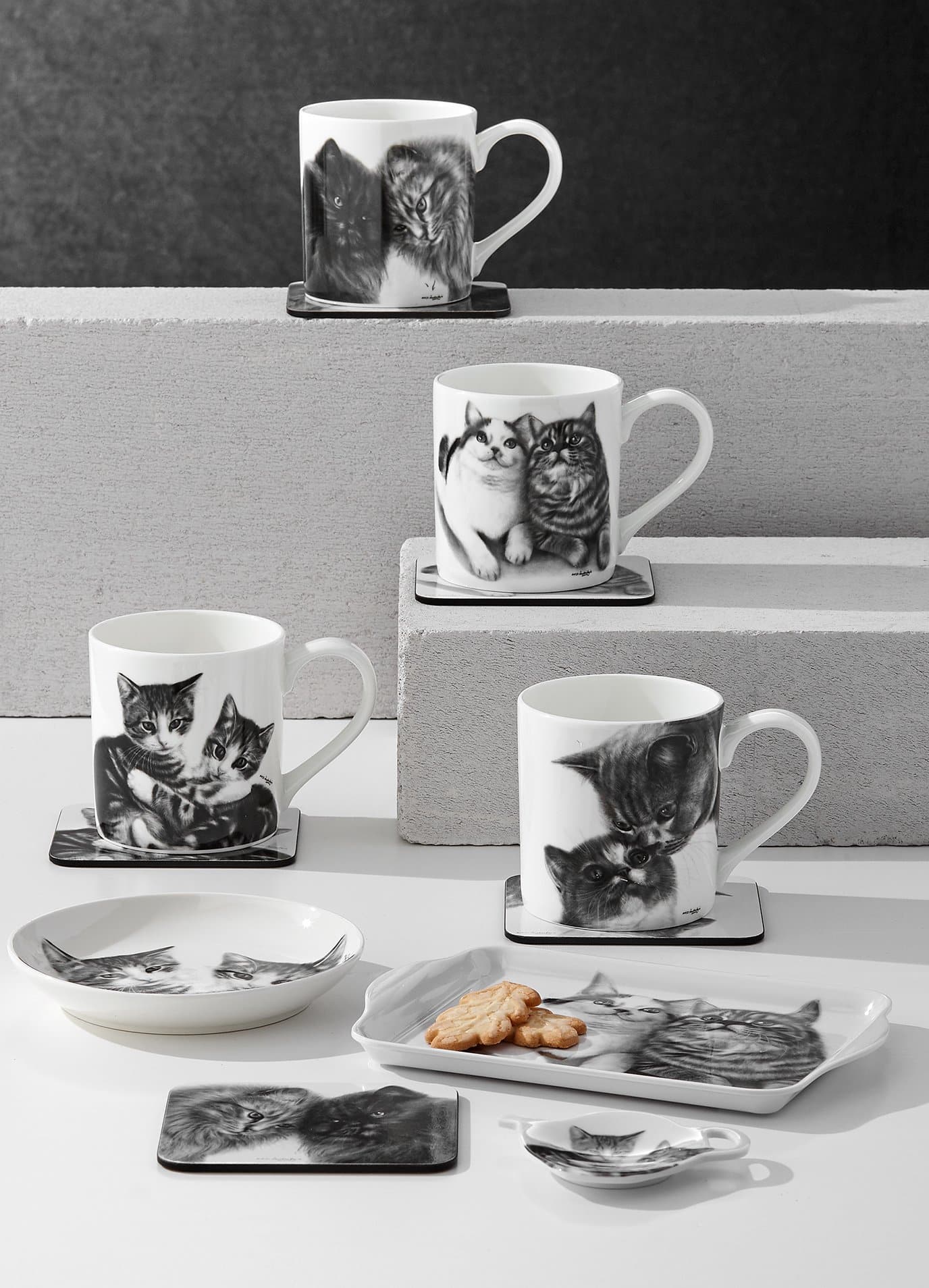 Ashdene Feline Friends Assorted 4pk Magnet