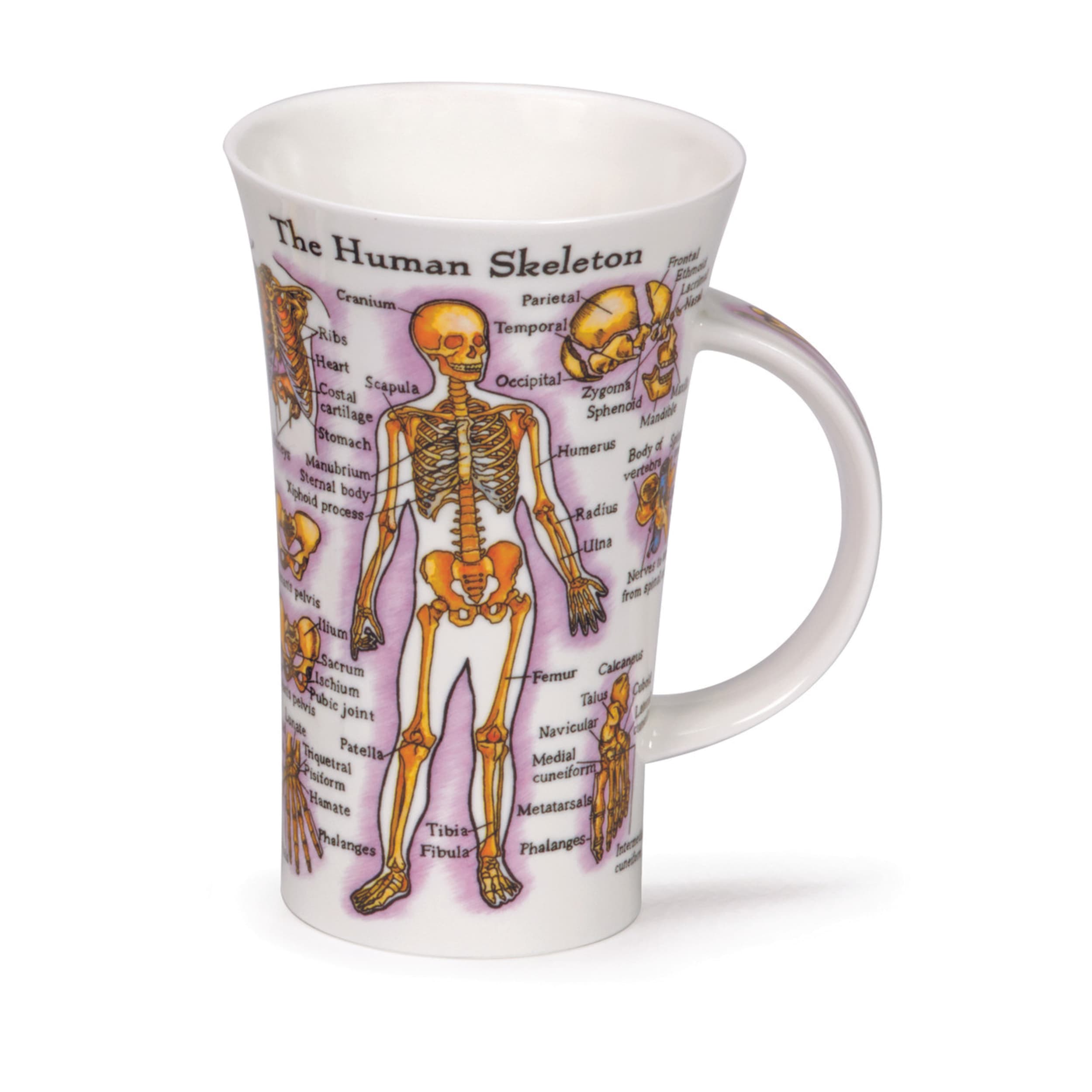 Dunoon Glencoe Human Body Mug 500ml
