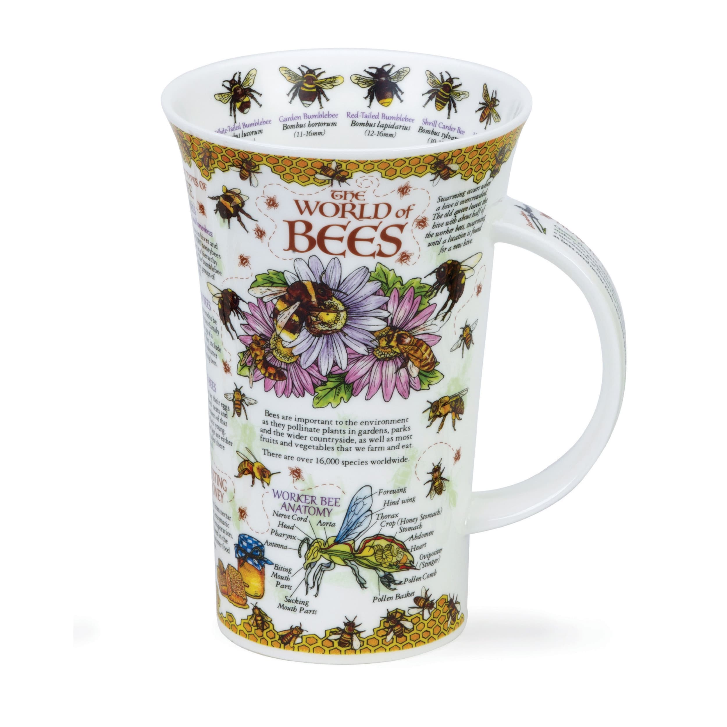Dunoon Glencoe World of Bees Mug 500ml