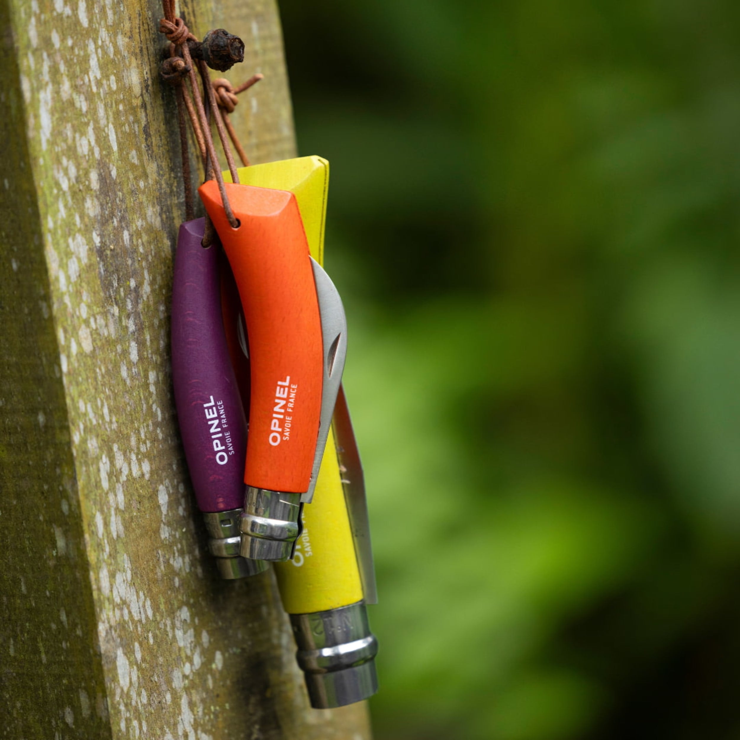 Opinel Gardener Premium 3 Piece Set