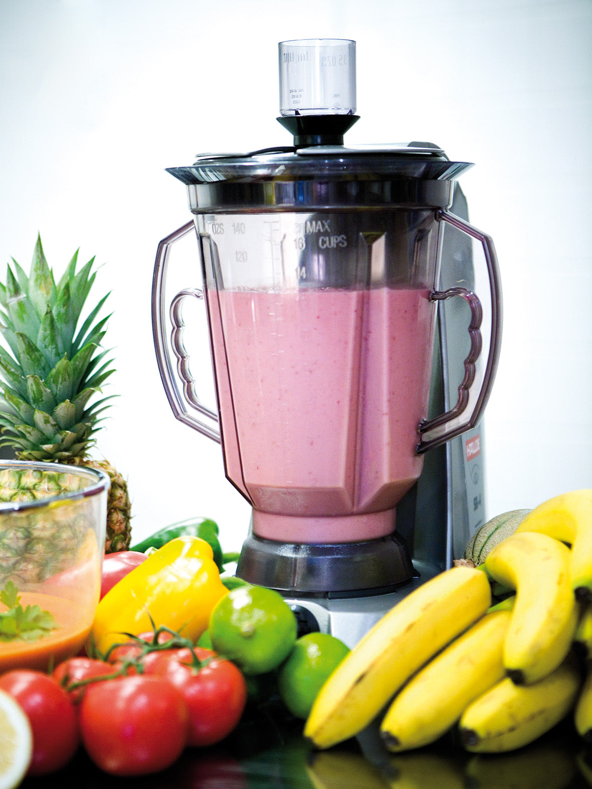 HALLDE Commercial Blender SB-4