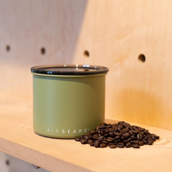 Airscape Classic 4" Small - Matte Lichen