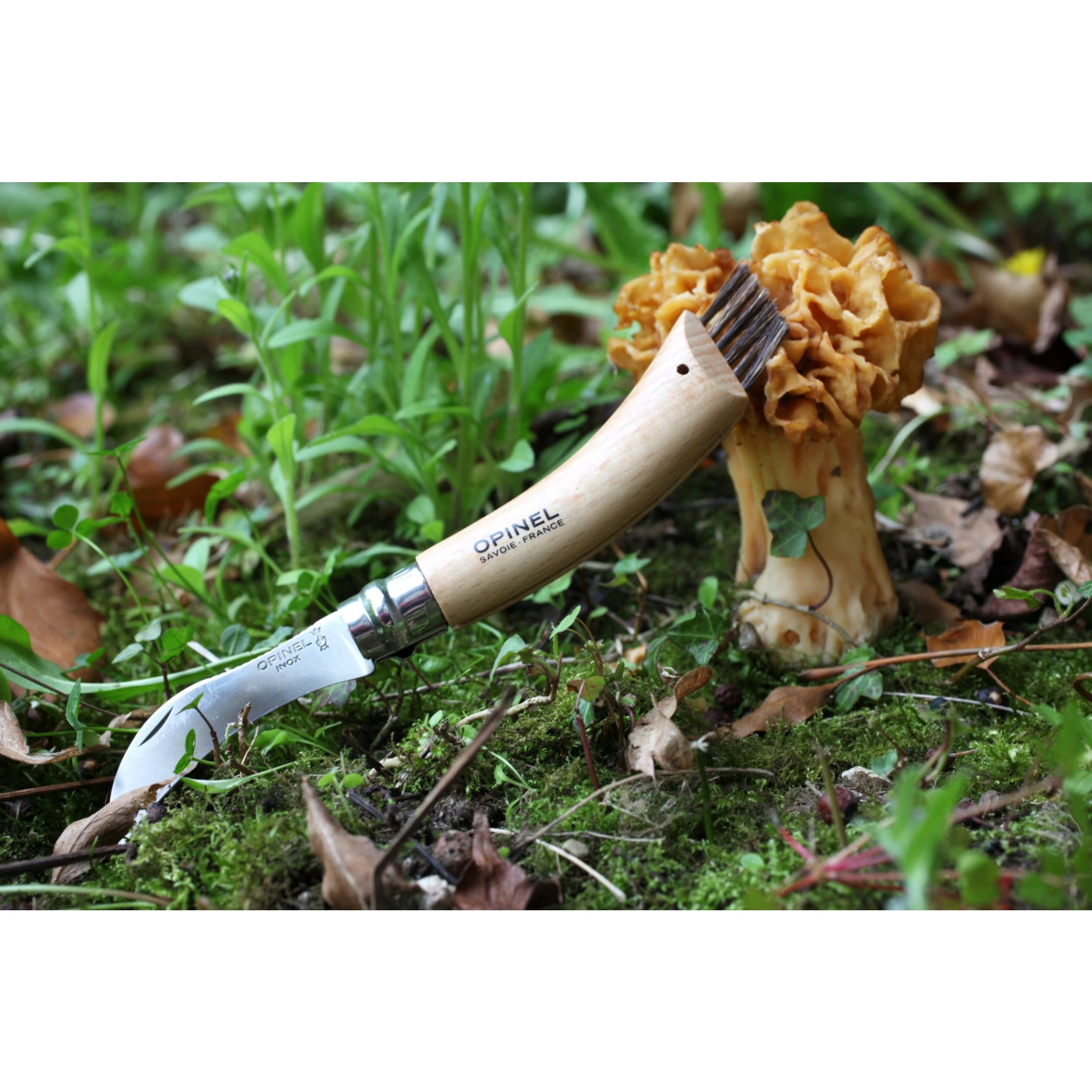 Opinel No.08 Mushroom Knife Beech