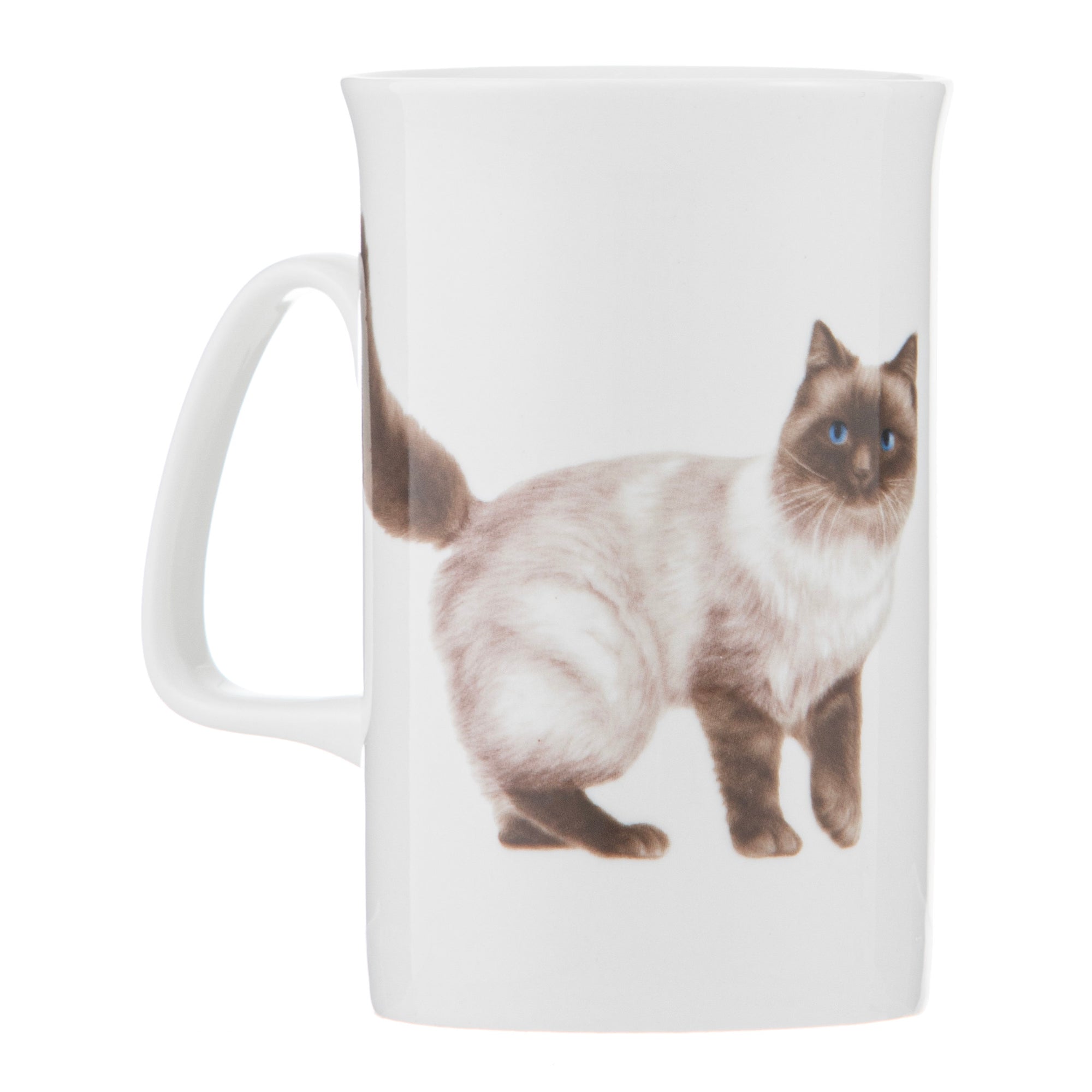 Ashdene Purrrfect Moments Ragdoll Can Mug