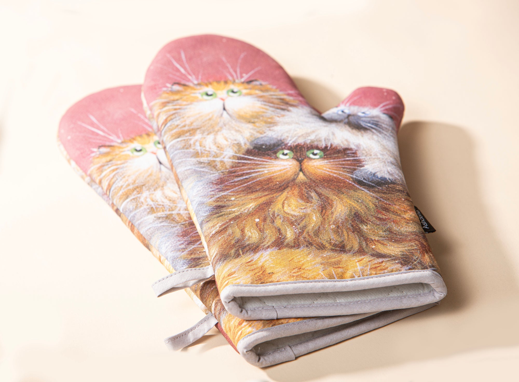 Ashdene Kim's Cats Friends Family 2pk Oven Mitt