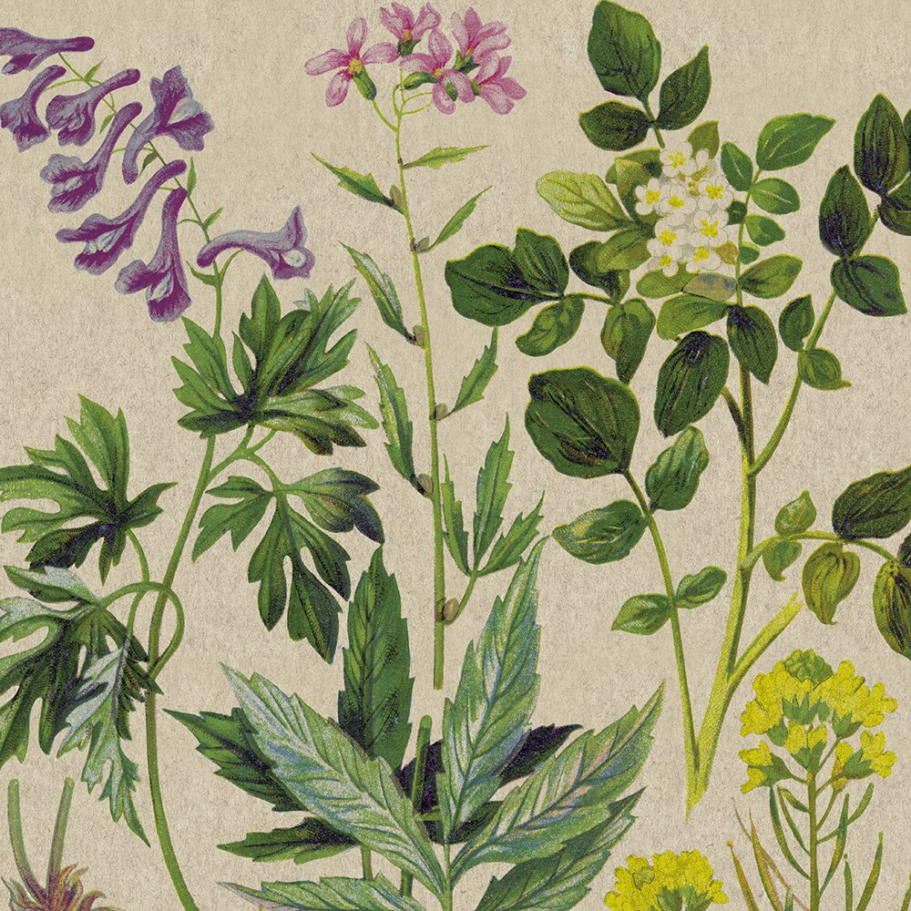 Paper+Design Luncheon Napkins – 20 Pack – Botanical Pattern