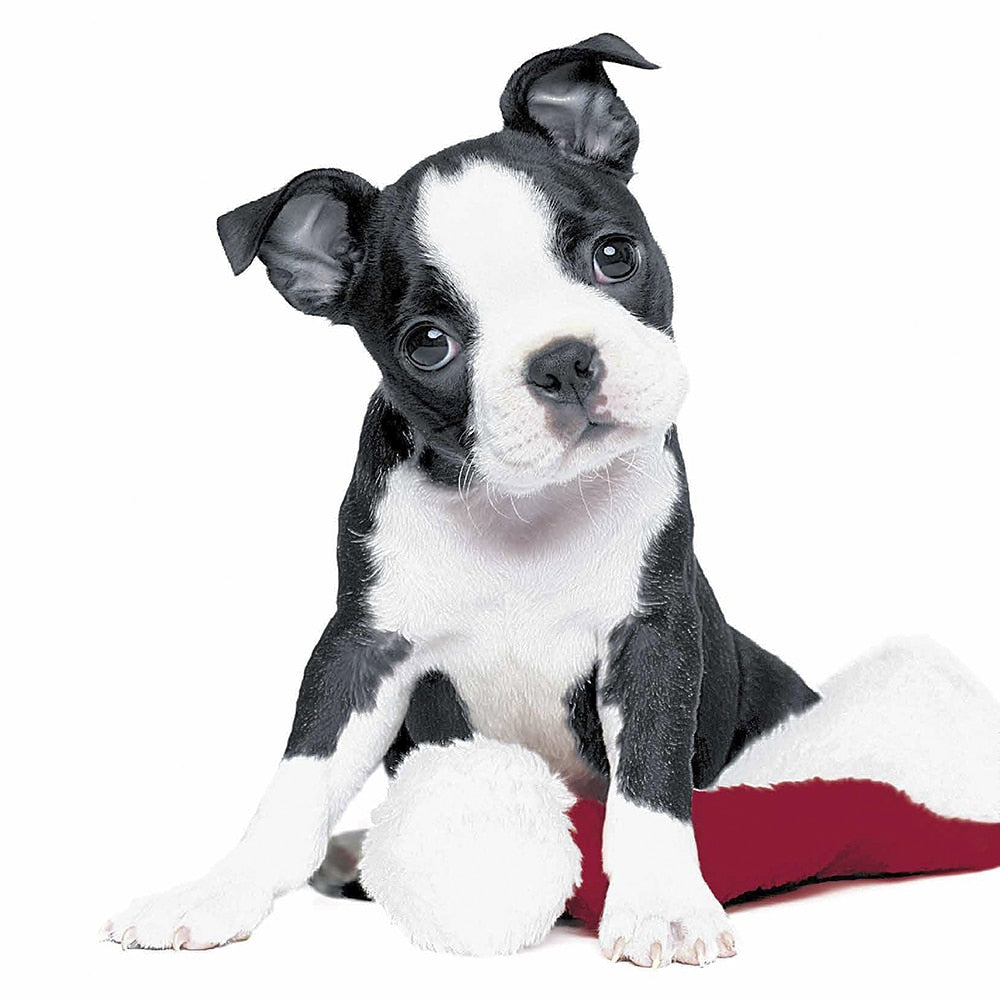 Paper+Design Luncheon Napkins – 20 Pack – Xmas Dog