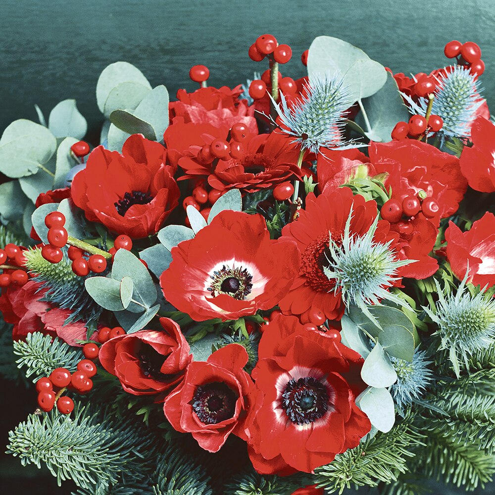 Paper+Design Luncheon Napkins – 20 Pack – Poppy Anemone