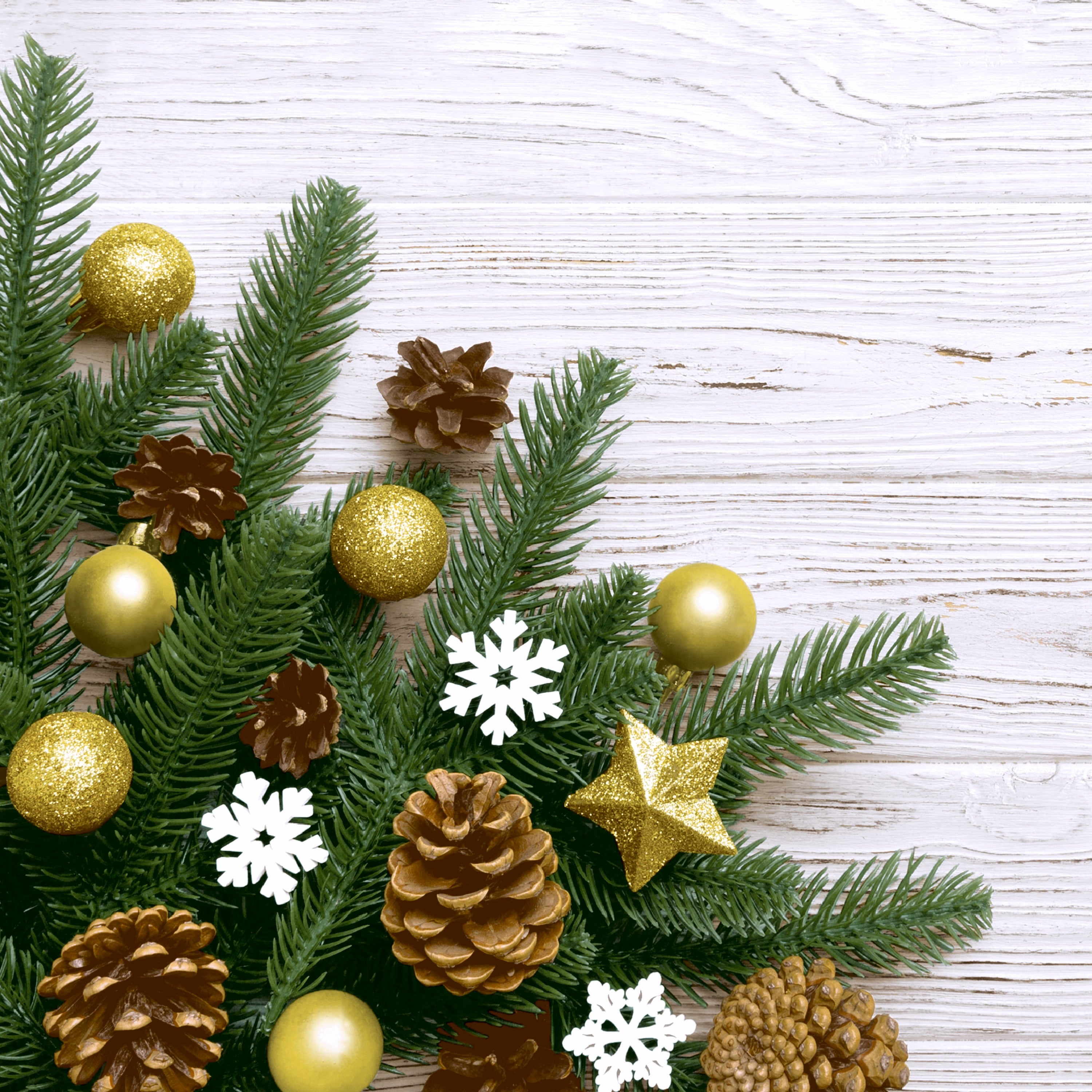 Paper+Design Luncheon Napkins – 20 Pack – Pine & Stars