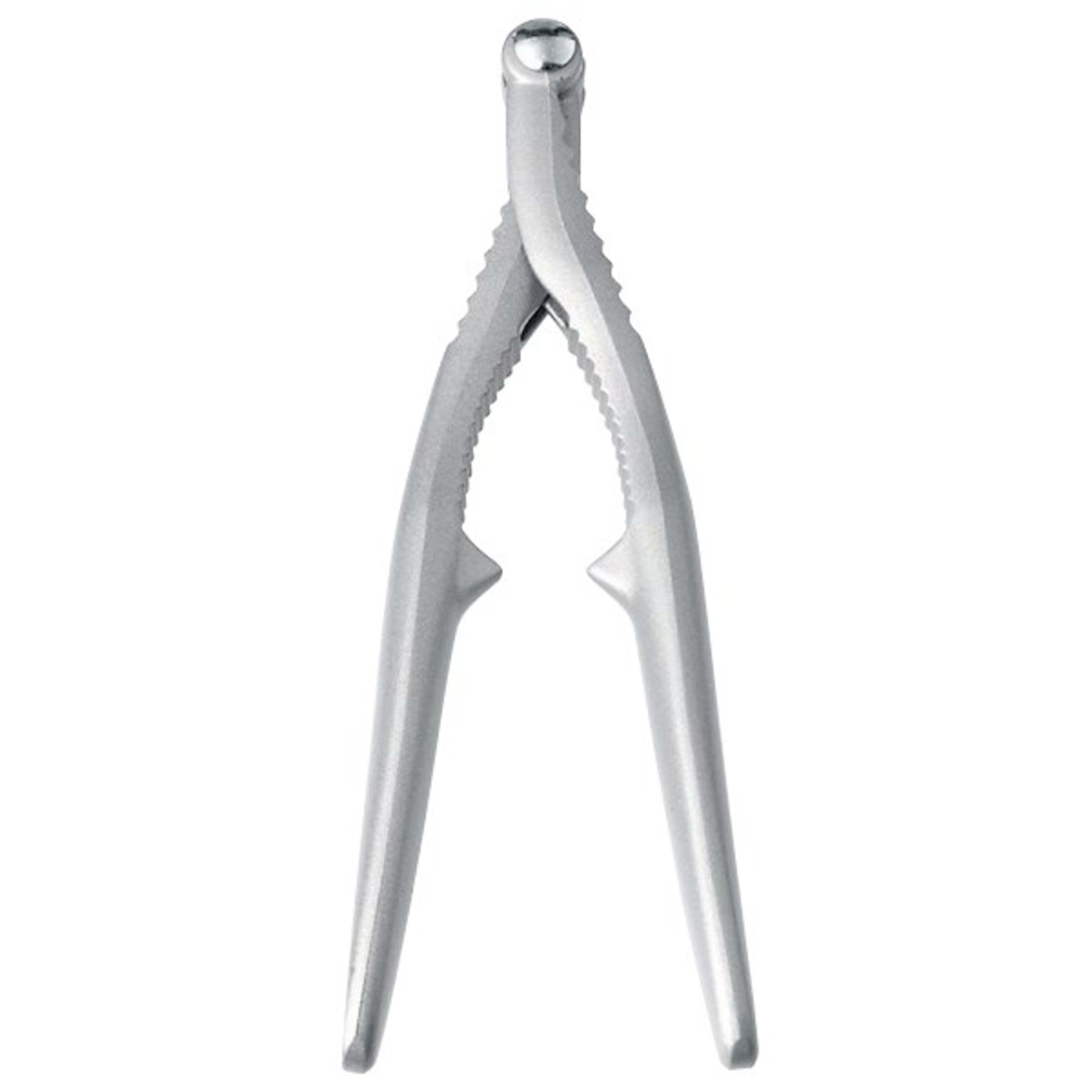 moHA! Mare Reversible Seafood & Nut Cracker