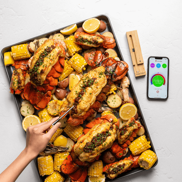 Meater Plus Meat Thermometer W Bluetooth Repeater
