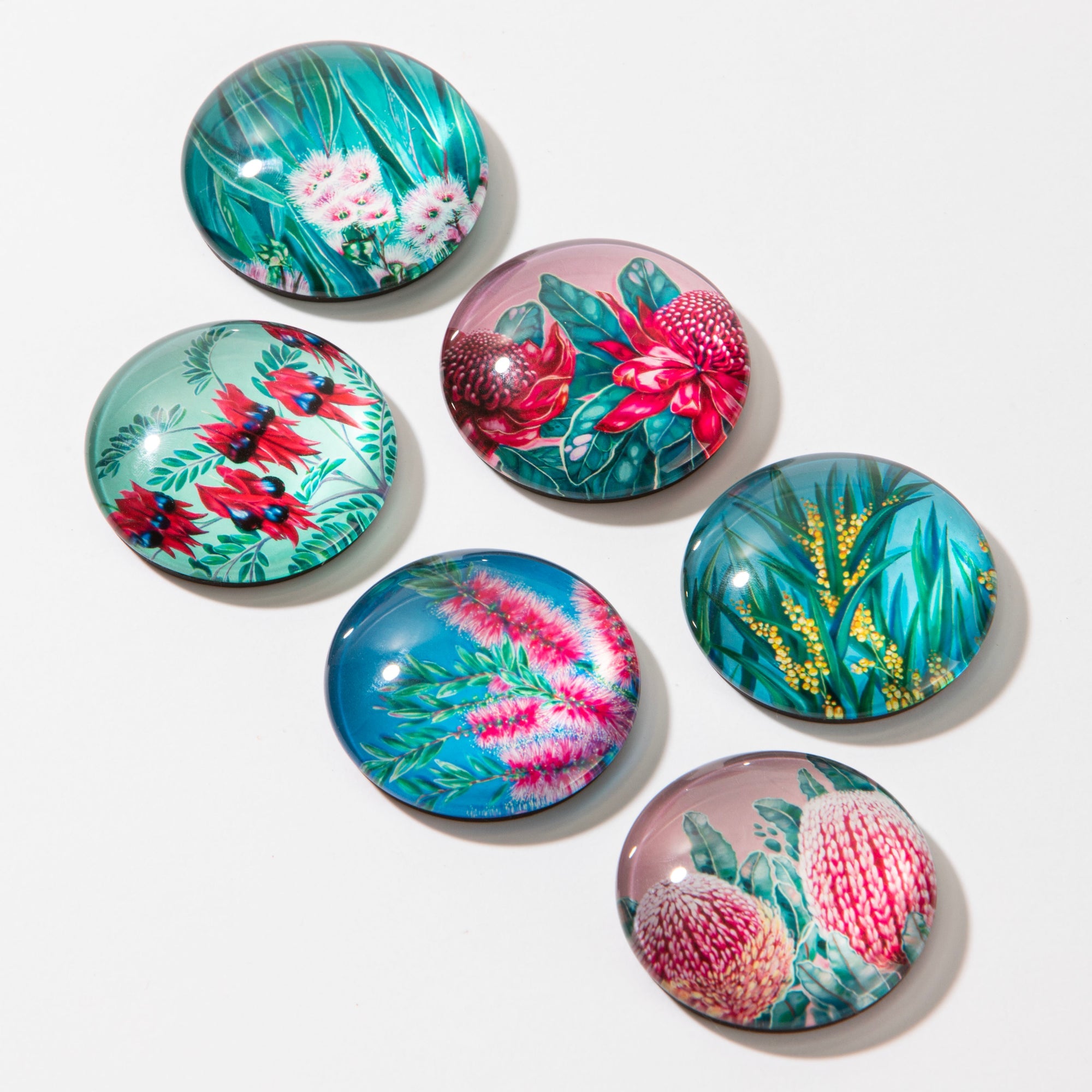 Ashdene Native Flora Set of 6 Magnet