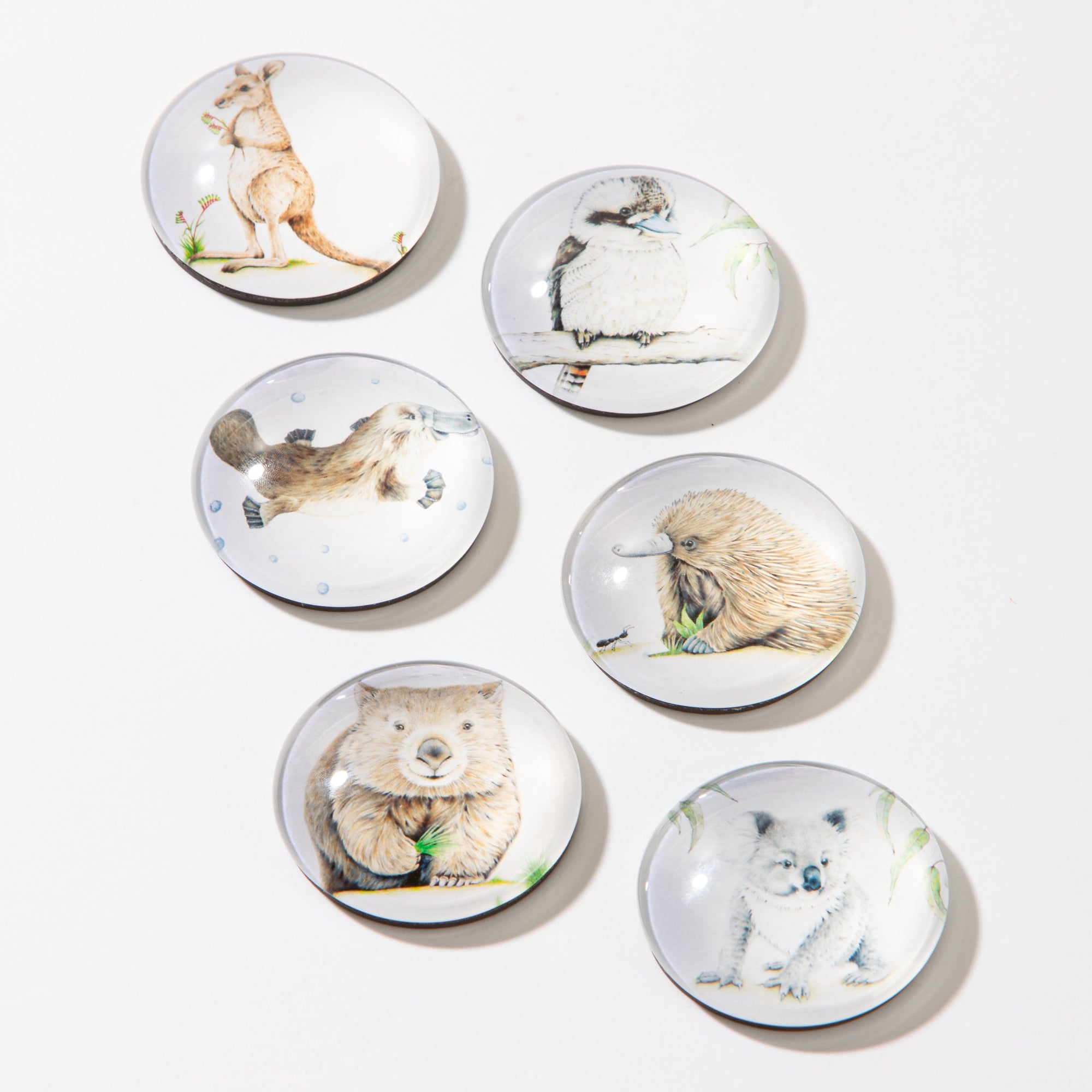 Ashdene Bush Buddies Set of 6 Magnet