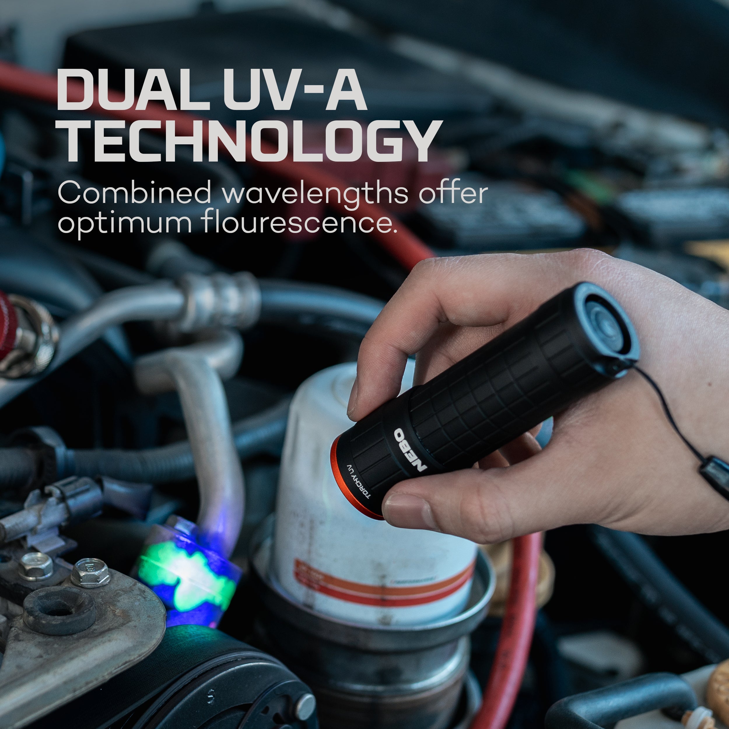 Nebo Torchy UVV & Blacklight