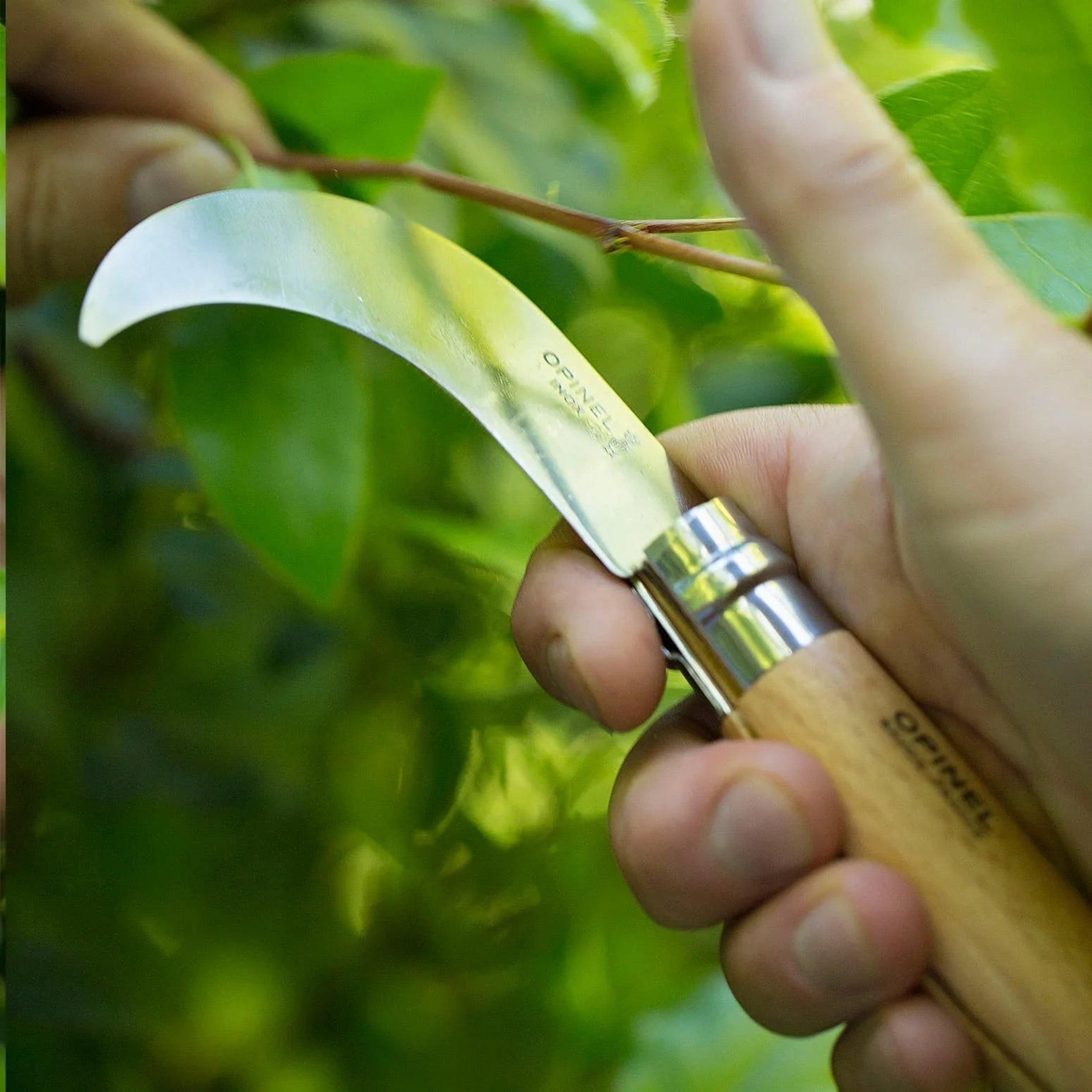 Opinel No.10 Stainless Steel Pruning Knife Beech