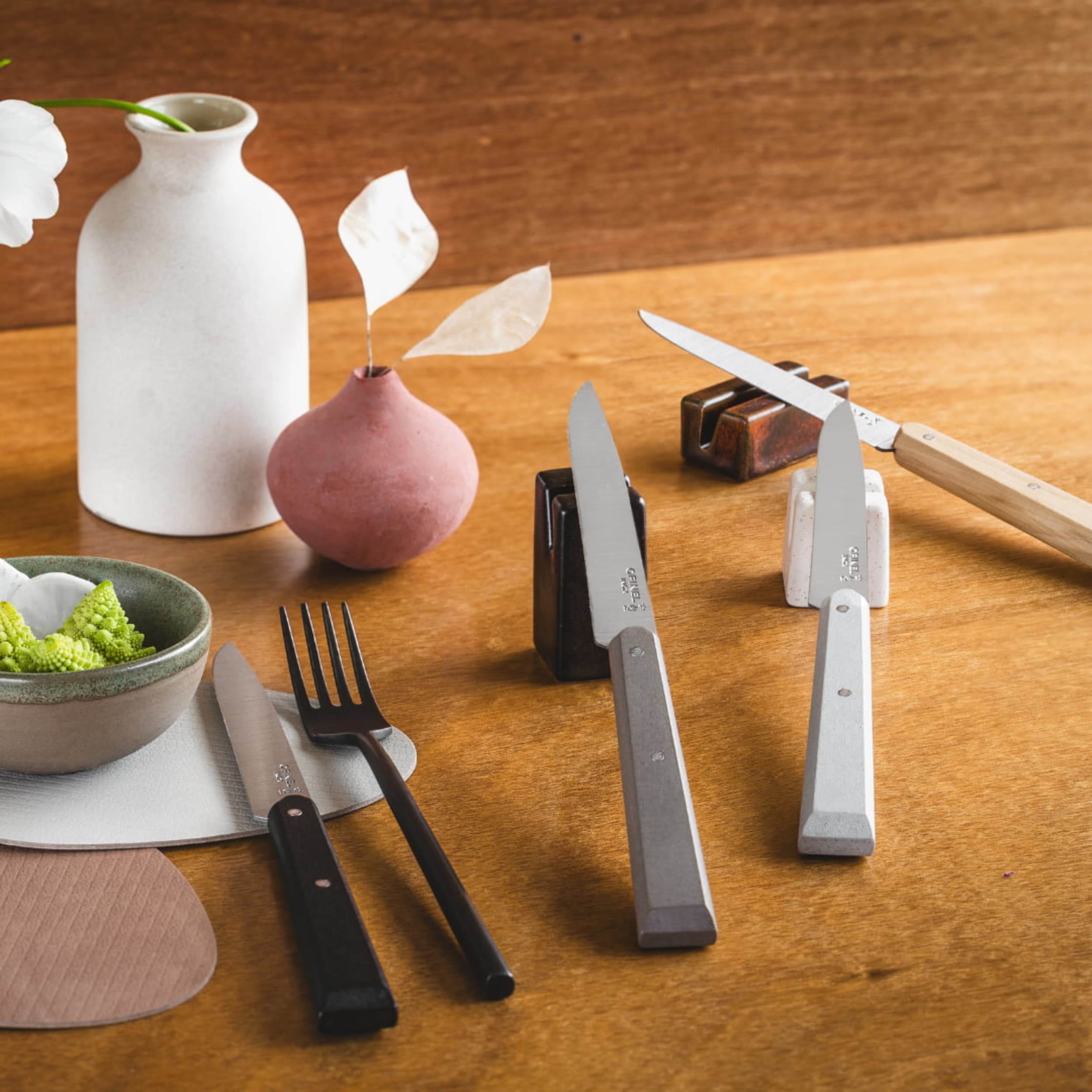 Opinel Bon Appétit No.125 Table Knife 4 Piece Set Agrumes