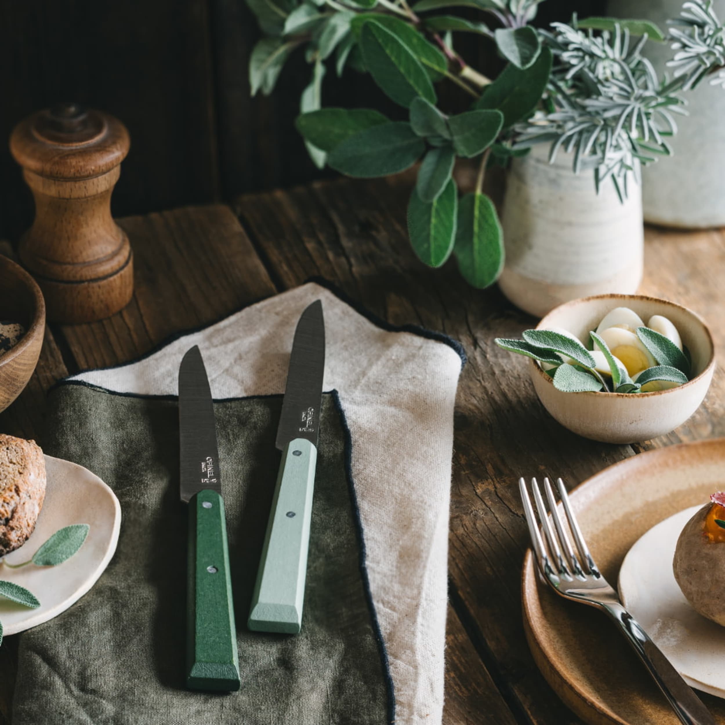 Opinel Bon Appétit No.125 Table Knife Cloud