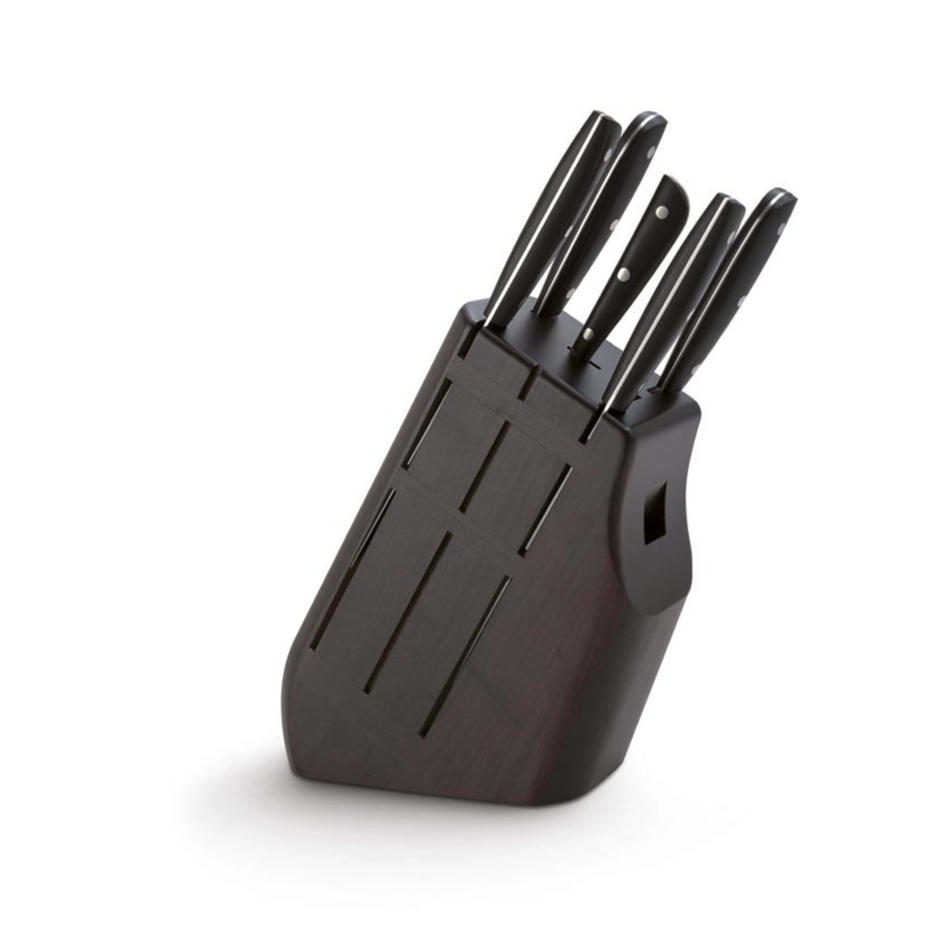 Del Ben 5 Piece Sheared Resin Handle Knife Set with Rosewood Block - Sintesi Collection