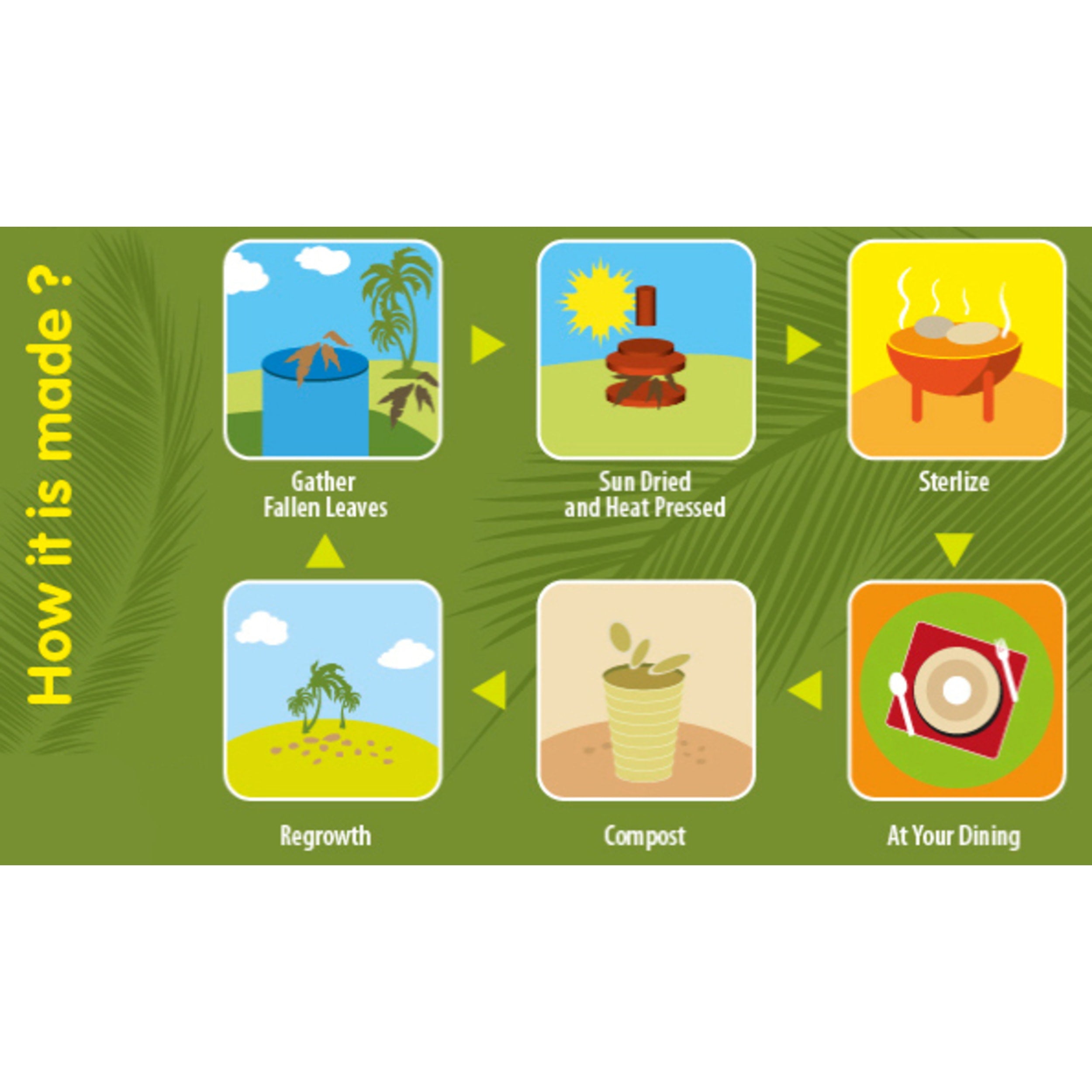 Eco Collection Palm Leaf Platter 550x300mm (10 Pack)