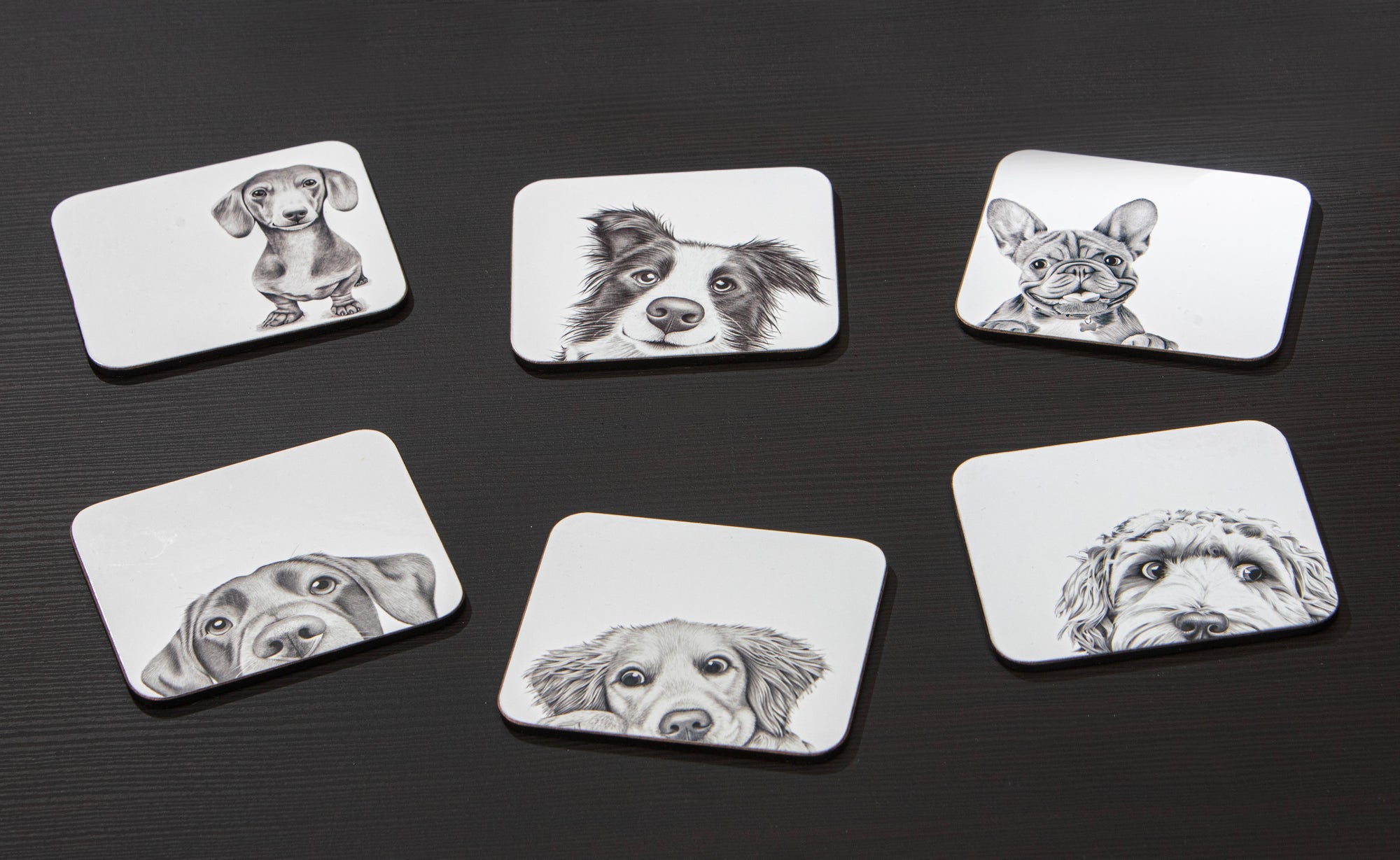 Ashdene Peeking Pups 6pk Coaster