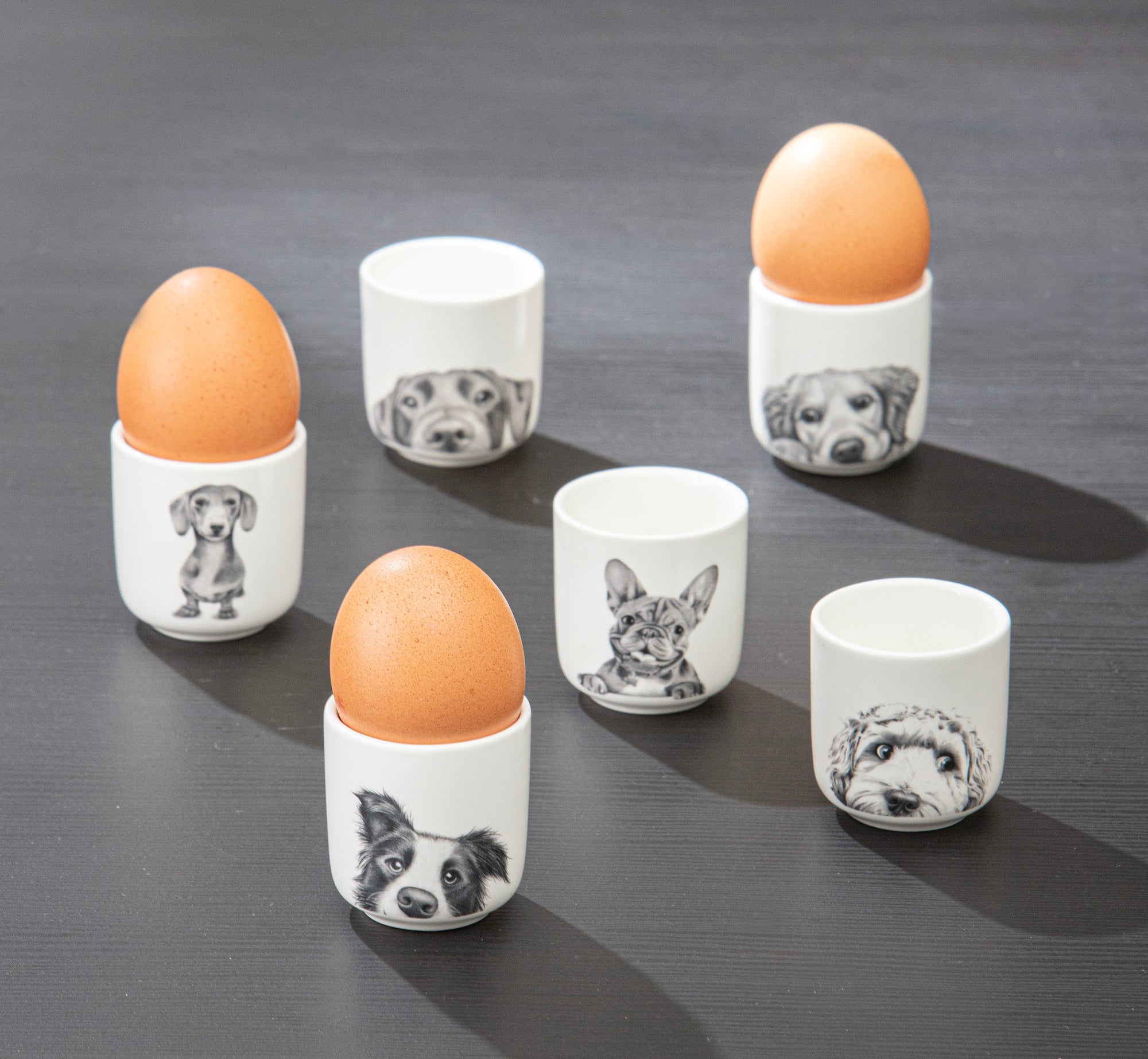 Ashdene Peeking Pups Oodle 2pk Egg Cup