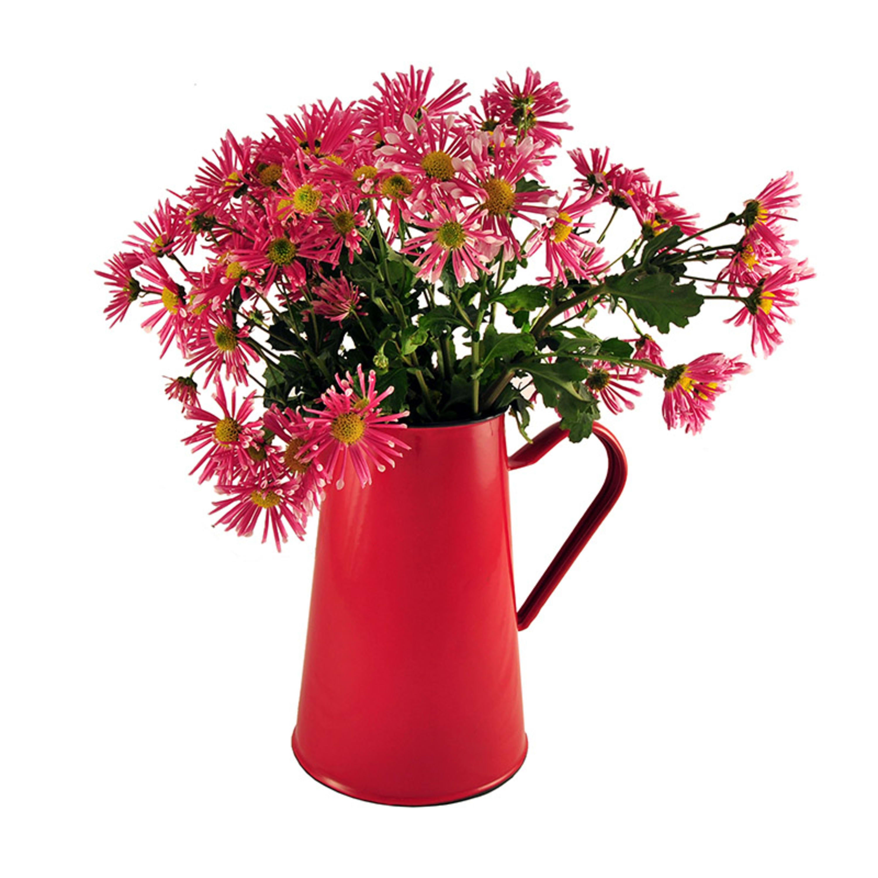 Urban Style Enamelware Pitcher 2L - Red with Black Rim