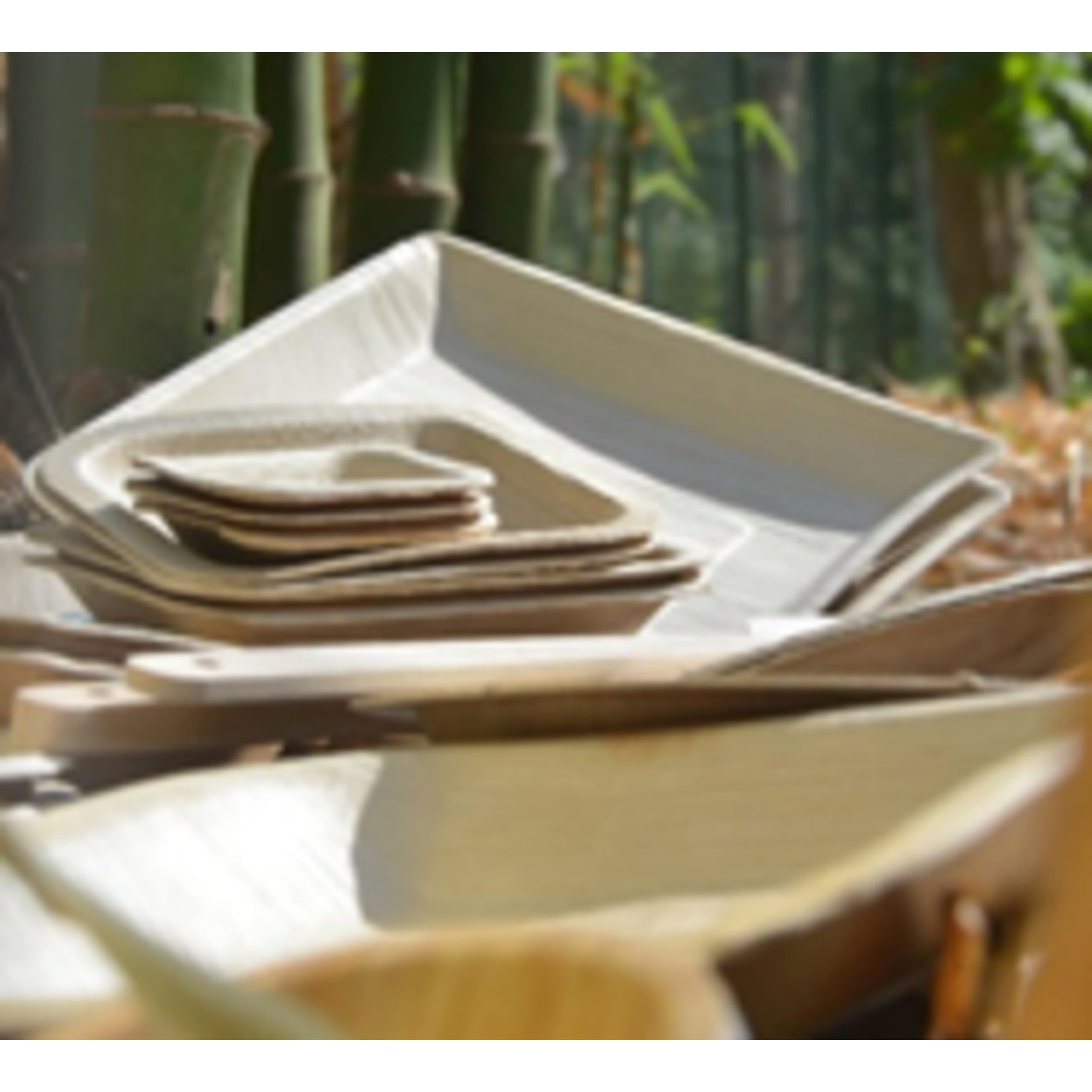 Eco Collection Palm Leaf Square Plate 6inch 150x20mm deep (25 Pack)