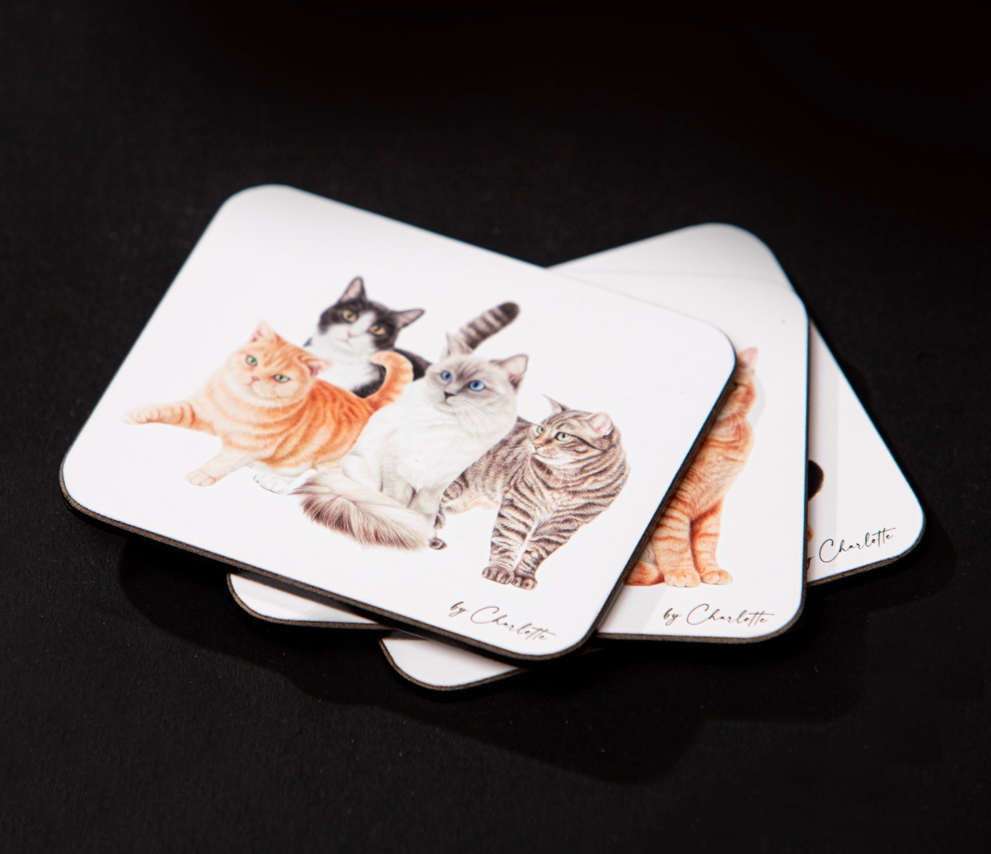 Ashdene Purrrfect Moments 6pk Coaster