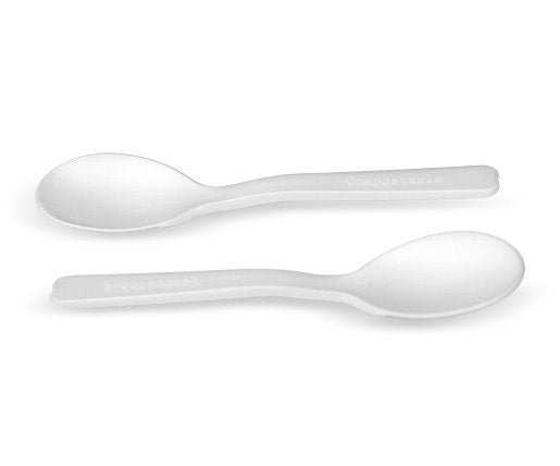 ecoware CPLA Tea Spoon 5 inch (Carton of 2000)