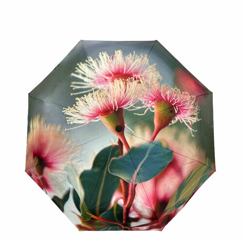 IOco Compact Umbrella UPF50+ - Gumnut