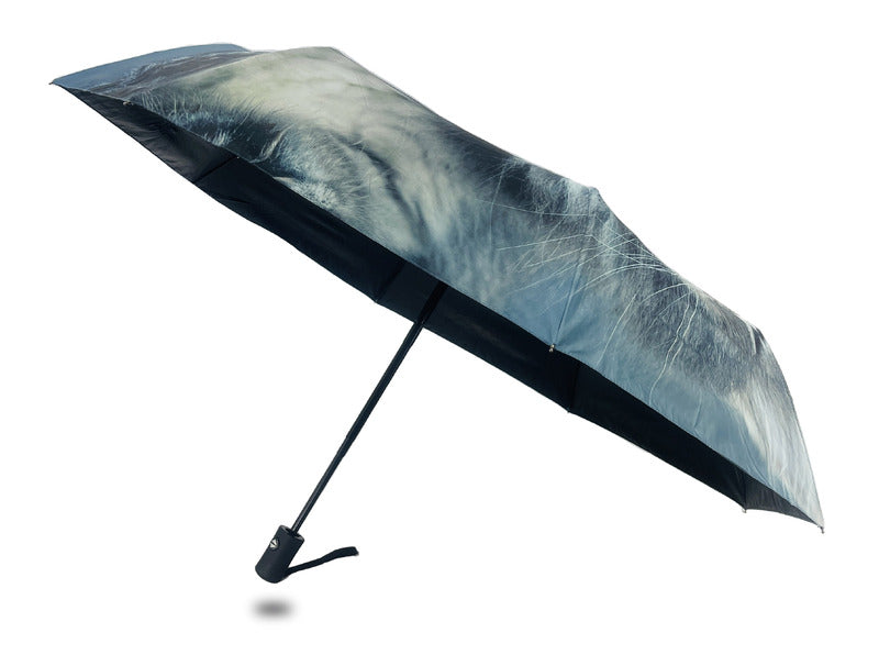 IOco Compact Umbrella UPF50+ - Sassy Cat