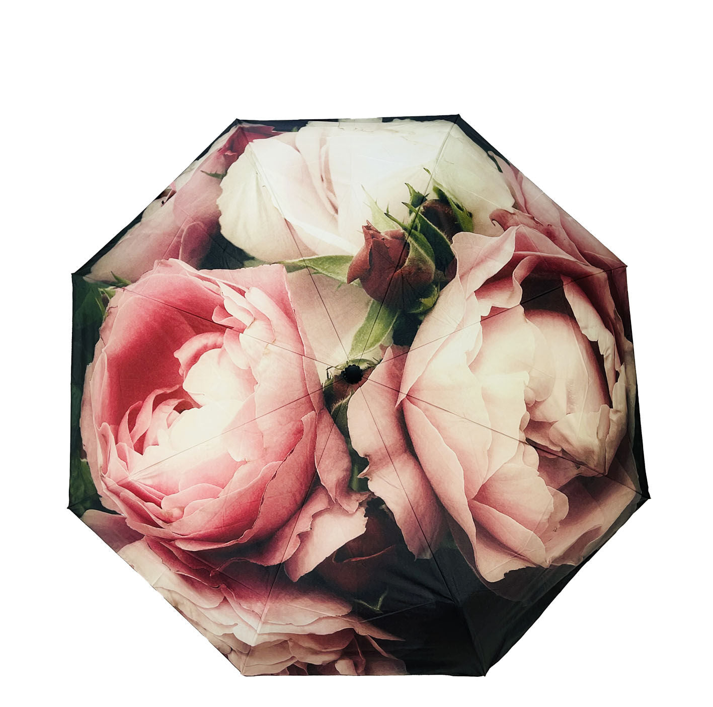 IOco Compact Umbrella UPF50+ - Vintage Rose