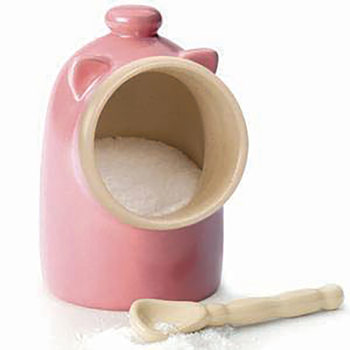 RSVP Stoneware Salt Pig with Spoon 12.5cm - Pink