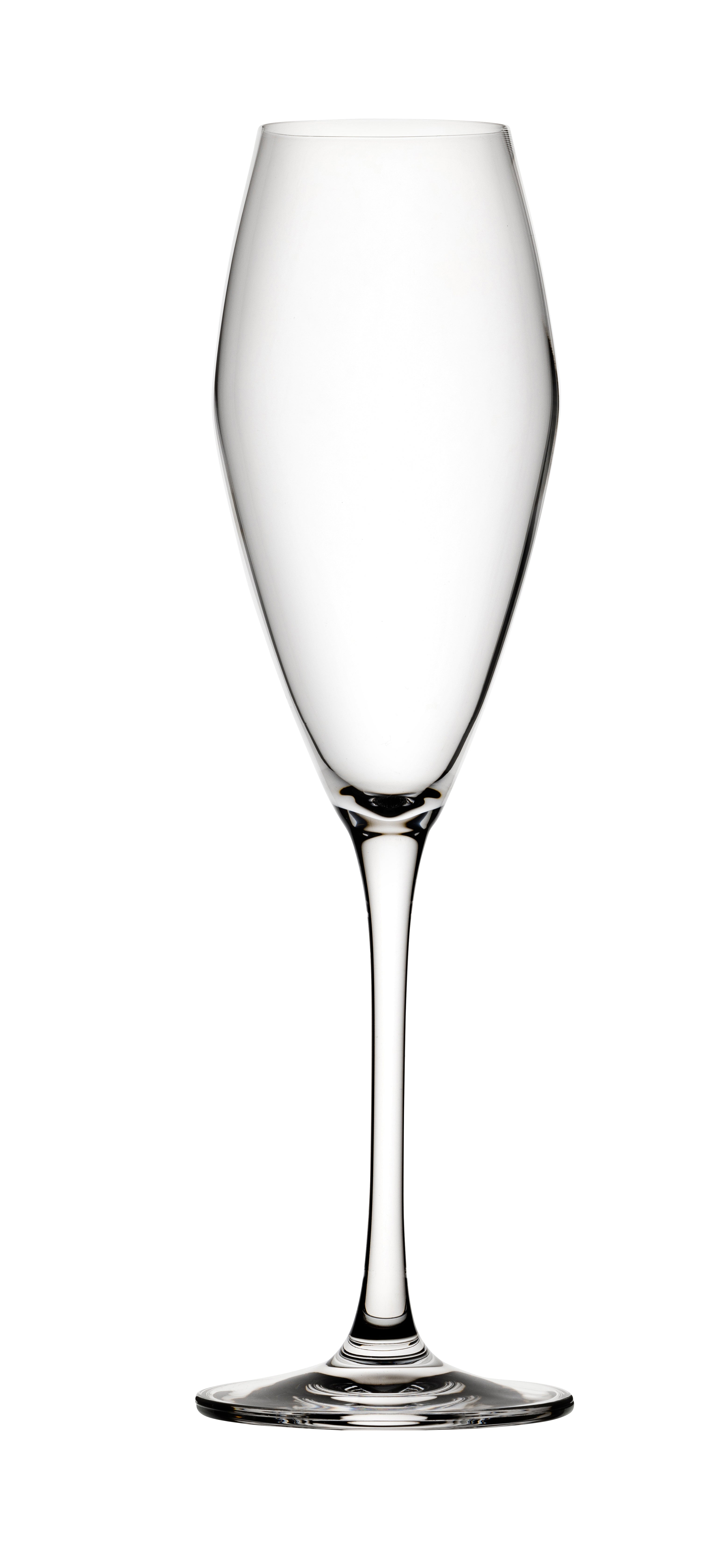 Crown Seine Champagne Flute (260ml)